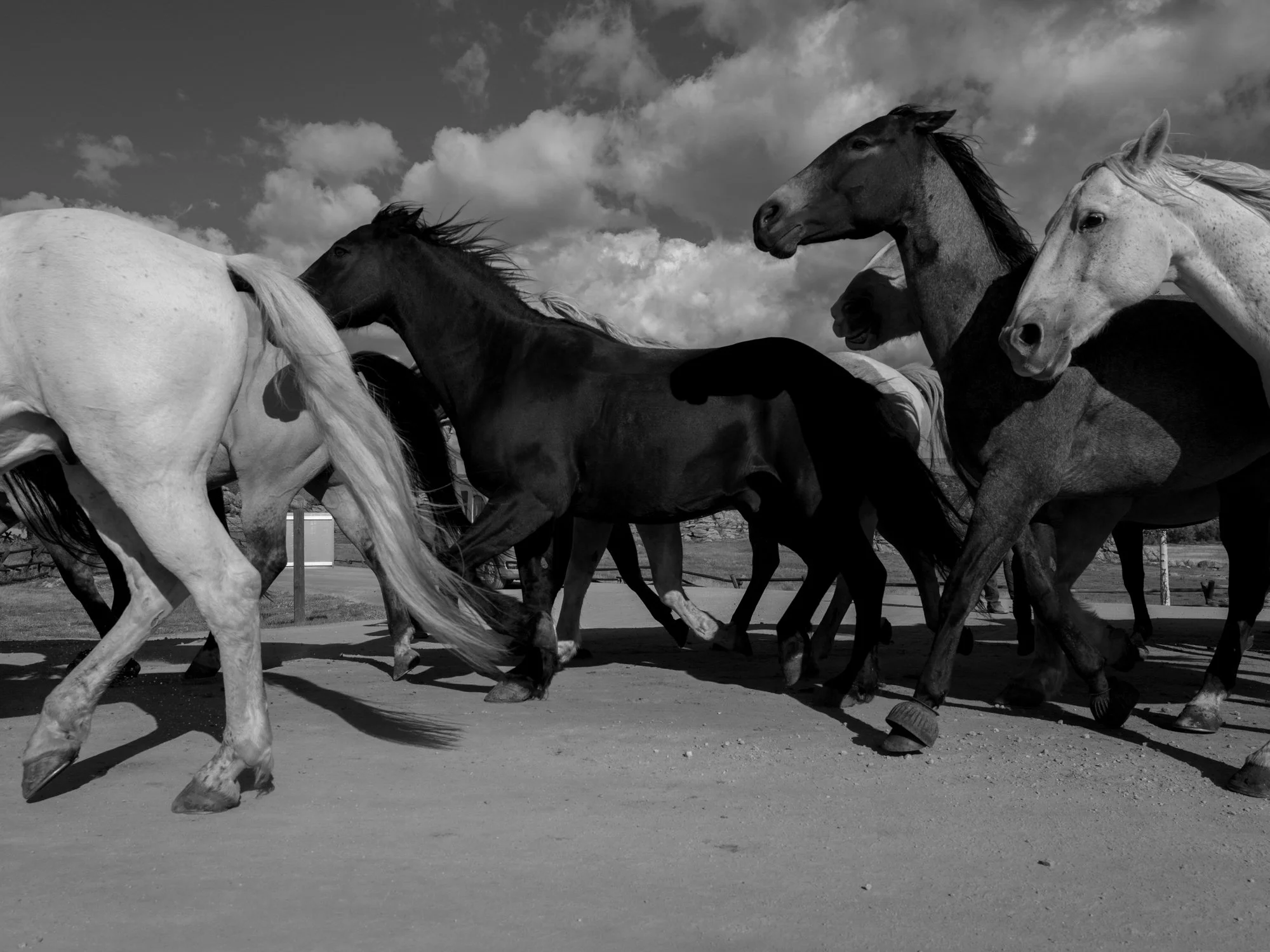 Destination Wedding Photographer Erich McVey-158.jpg