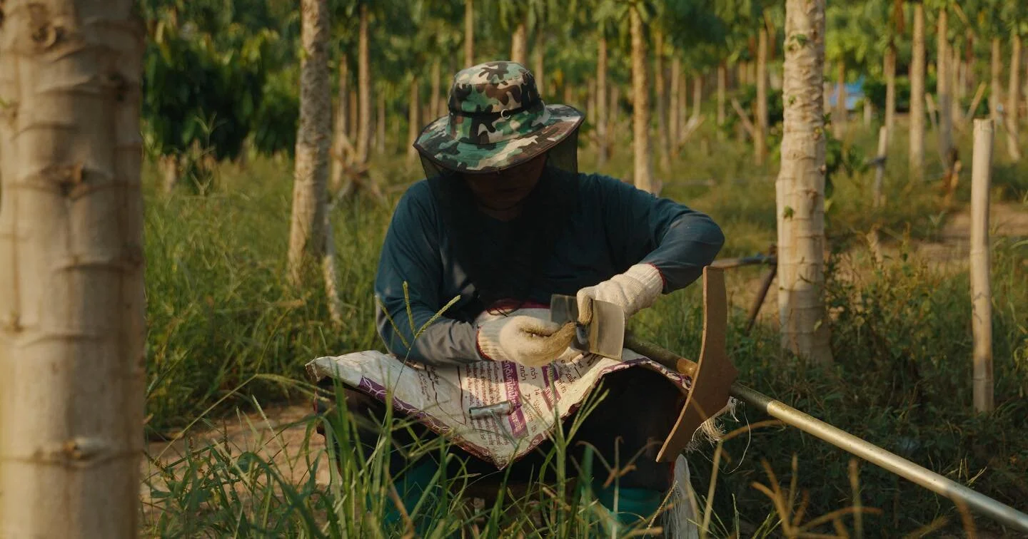 After a long, busy summer of shooting it&rsquo;s nice to hibernate for a while and sip coffee while editing ☕️👨🏼&zwj;💻 Love my job 👍🏻 Here a few stills from one project I&rsquo;m working on at the moment with @multiply_network.
&bull;
&bull;
&bu