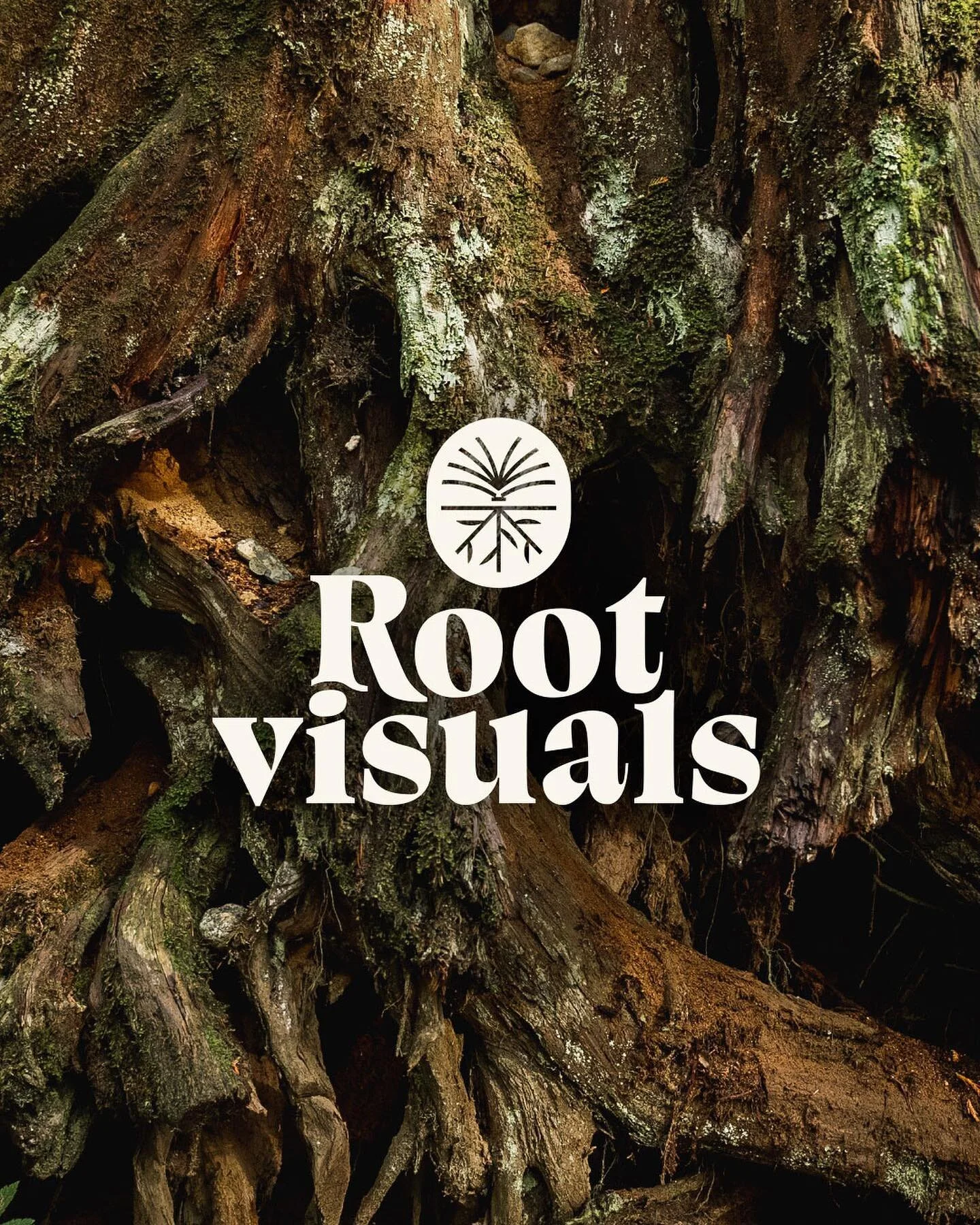 So excited to finally share my new video production brand with the world! Root Visuals specializes in creating documentary and commercial video content for organizations and businesses who are working to make the world a better place.

This new brand
