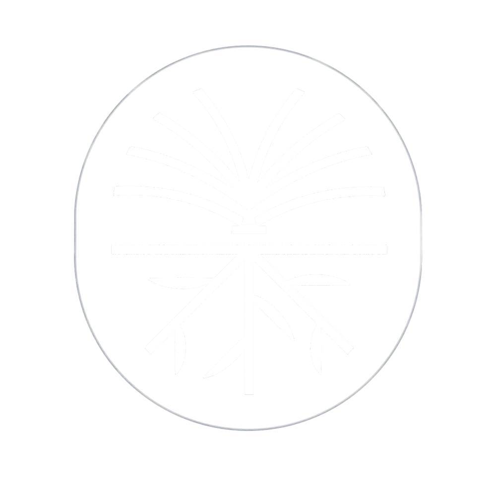 Root Visuals