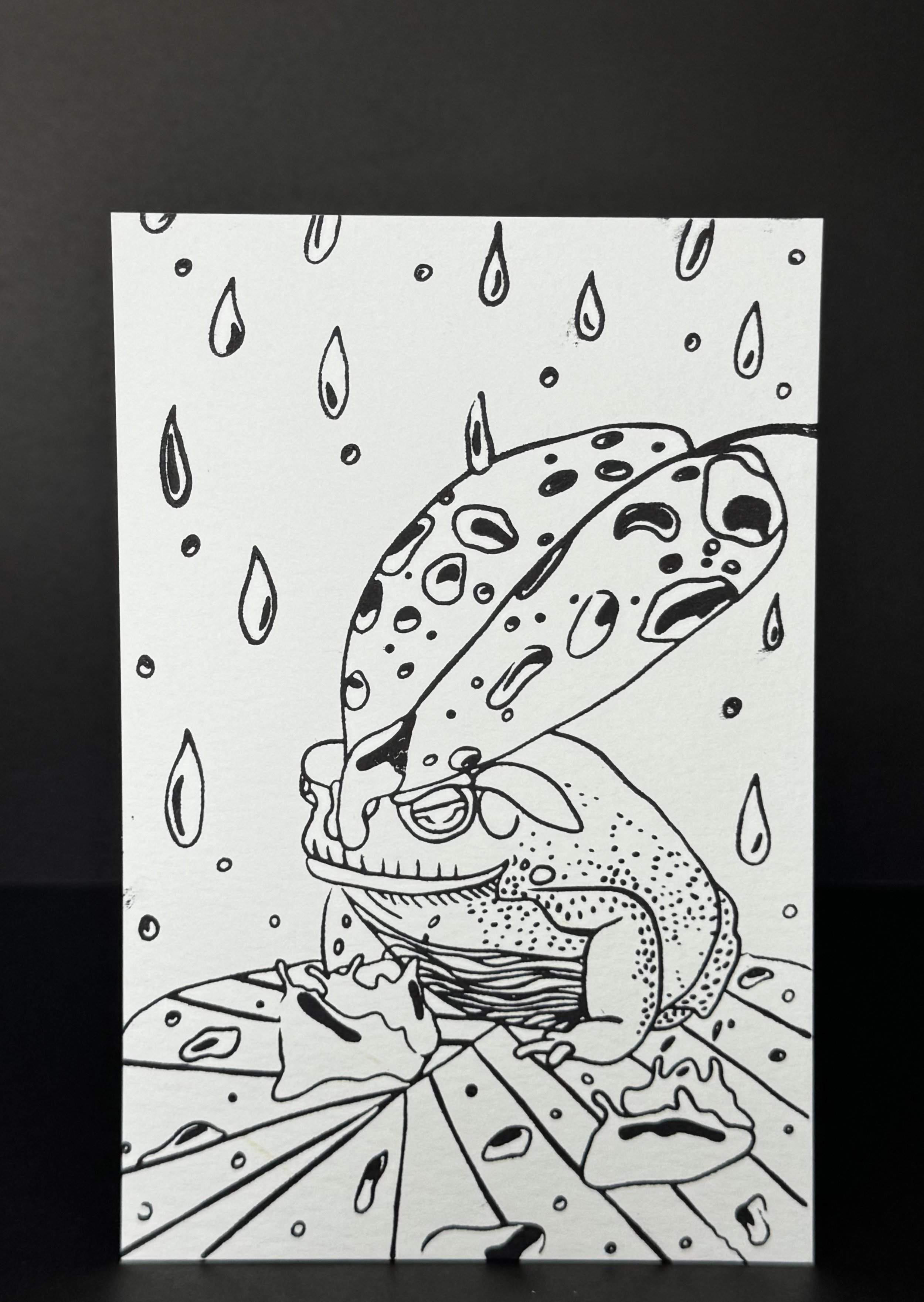 Frog Print