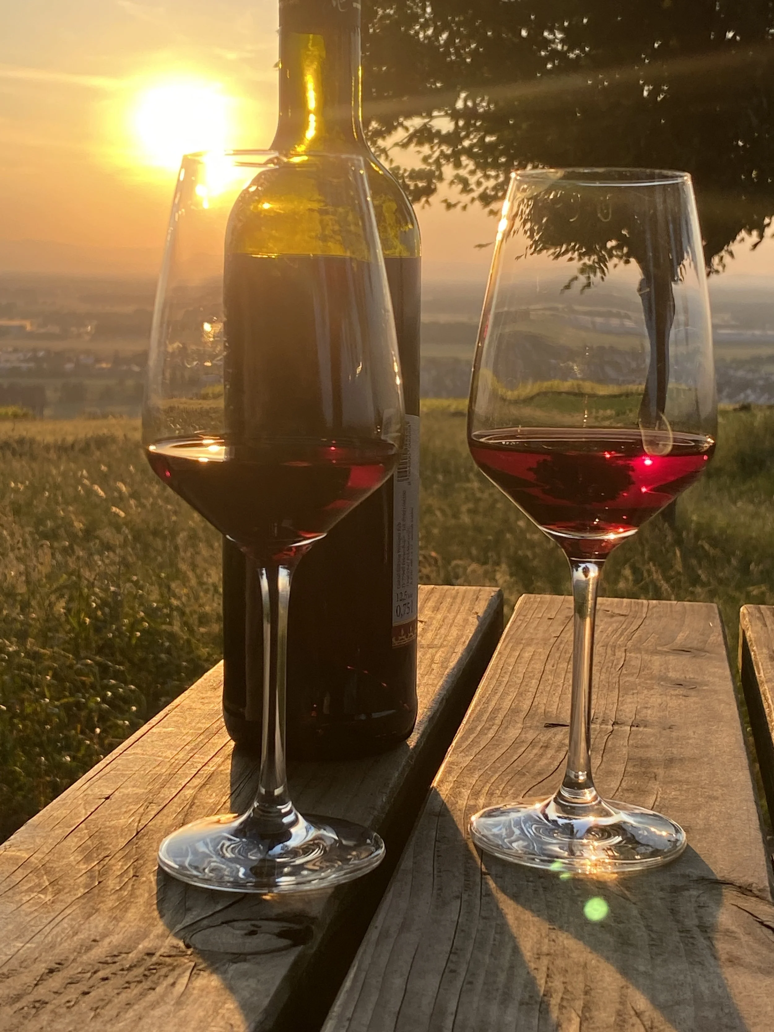 Sundowner Tour