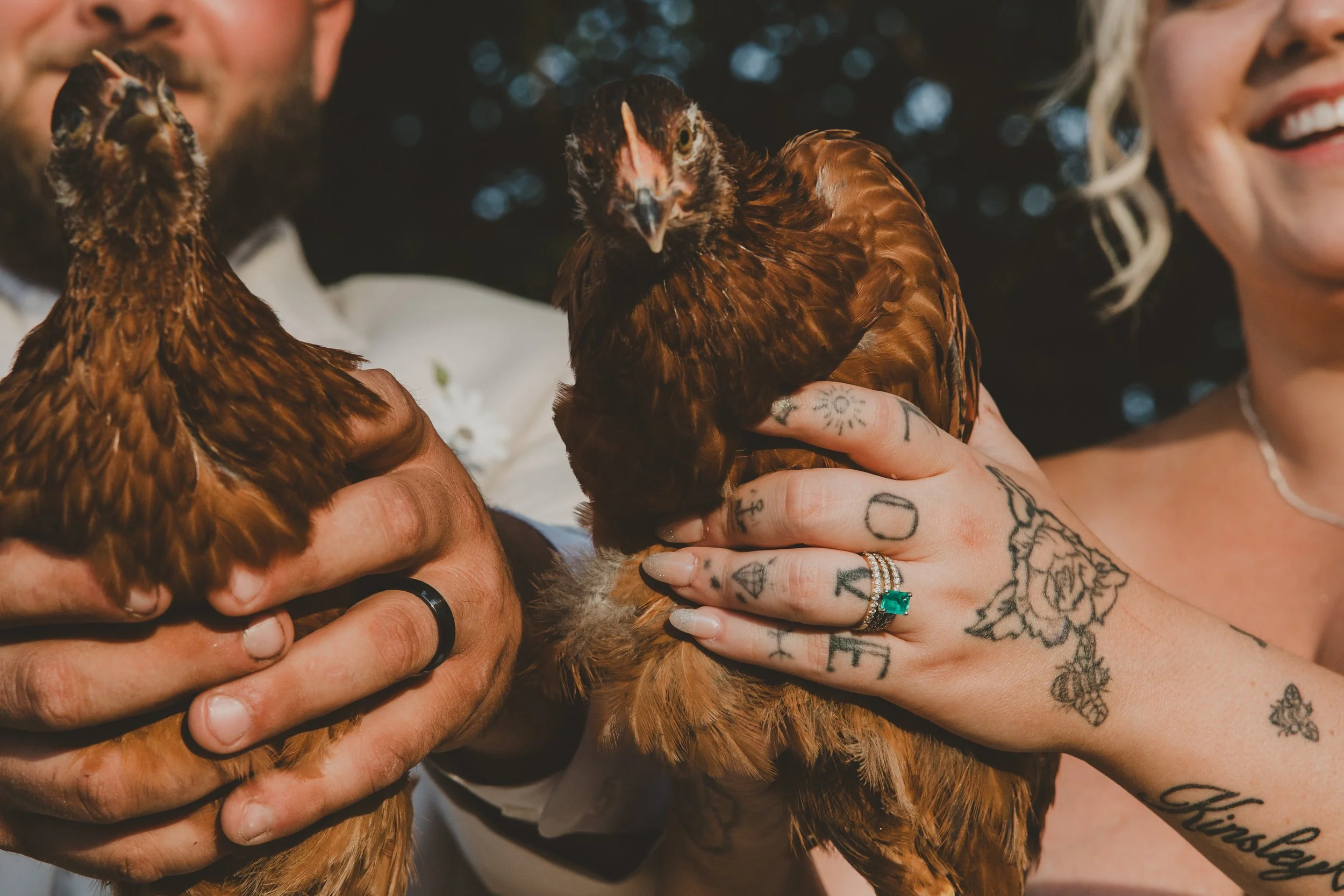 God, Chickens & Kids