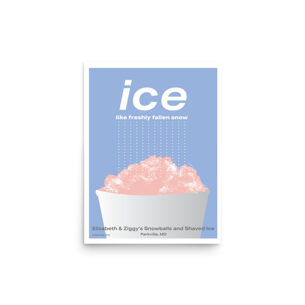 enhanced-matte-paper-poster-(in)-12x16-front-649b6c7347a14.jpg