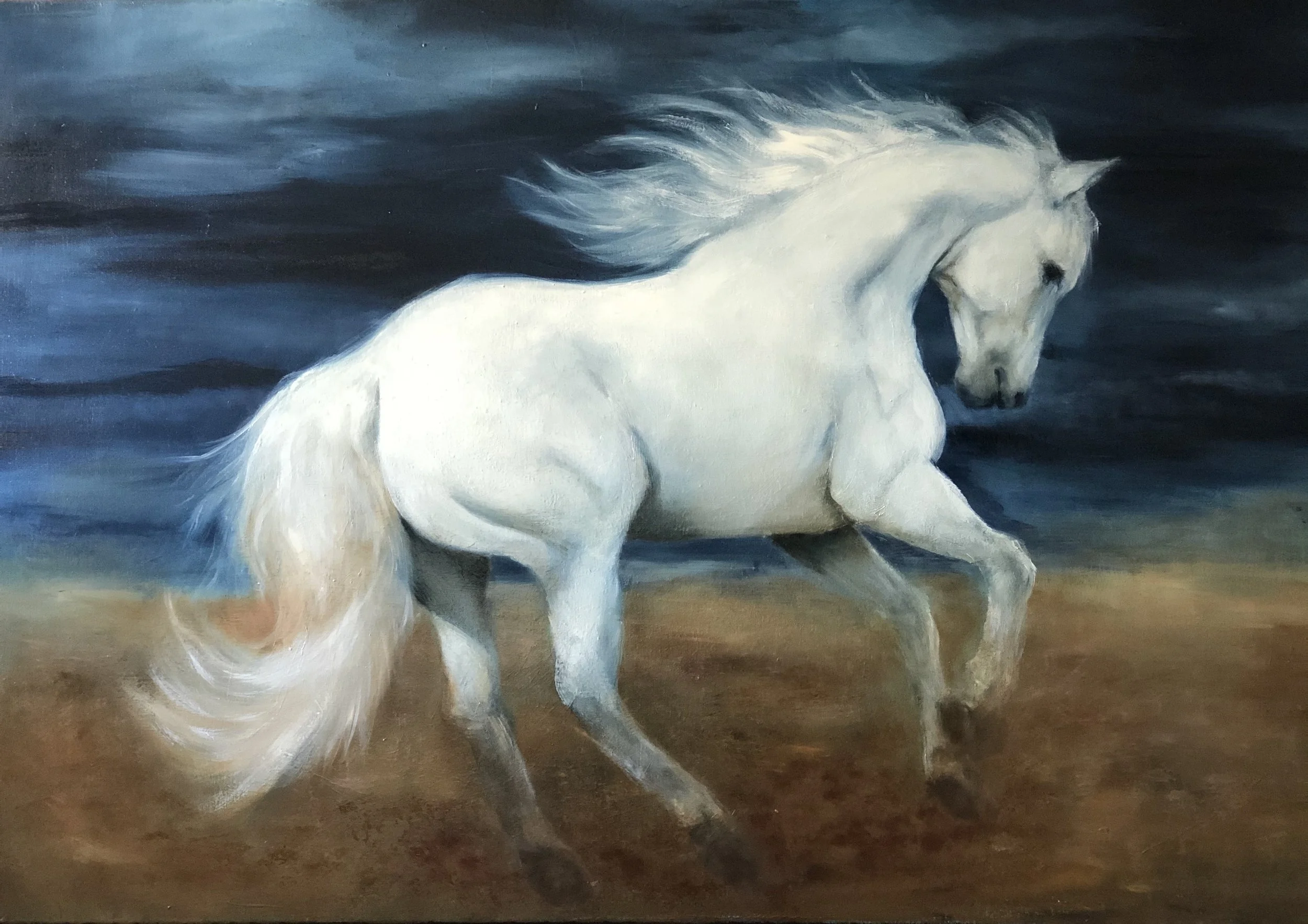 Frihet, 80x120, olje på lerret, pris på etterspørsel