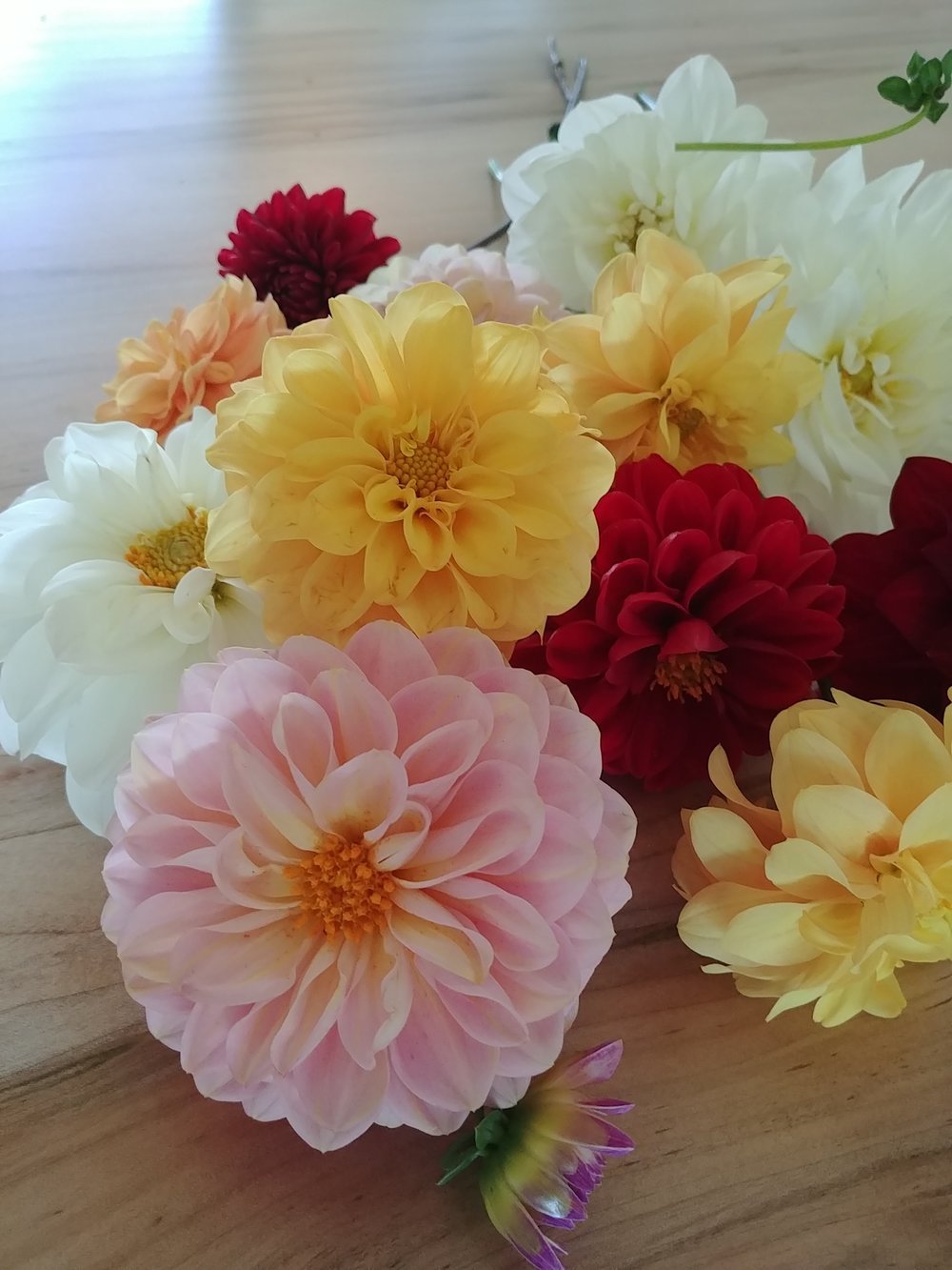 Why are wedding flowers so expensive? — Blushing Design Wedding