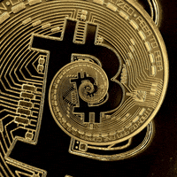 Invest-Cryp: Investing In Culture + Introduction Into Cryptocurrency
