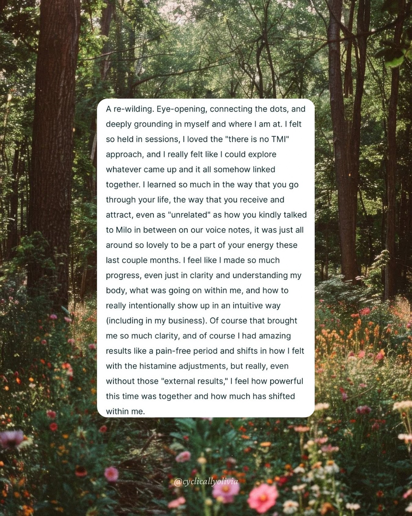 {my latest client&rsquo;s reflection on her time in Reflection, my mentorship, when asked &ldquo;how would you describe our time journeying together?&rdquo;}

It can be difficult to put into words the depth of my work and all that may unfold in mento