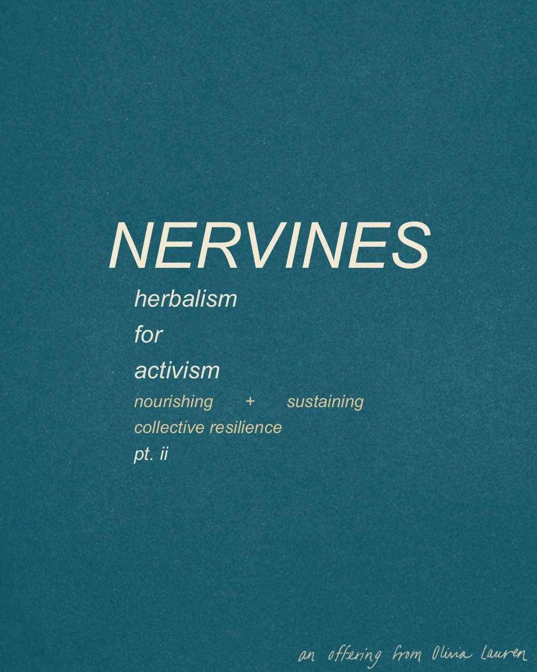this is part ii of my &lsquo;herbalism for activism&rsquo; series, an olive branch of support to the collective. 

this part focuses on nervines, herbal allies for the nervous system. if you missed the opening post, i invite you to scroll back <3
