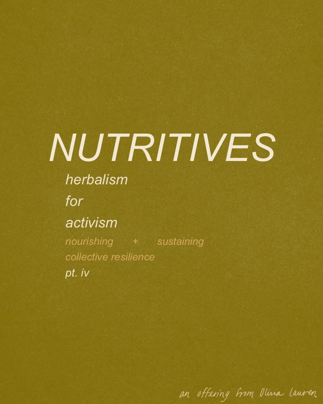 this is part iv of my &lsquo;herbalism for activism&rsquo; series &mdash; an olive branch of support to the collective.

this part focuses on nutritives &mdash; herbal allies that replenish our reserves, rebuild what has been spent, and nourish the s