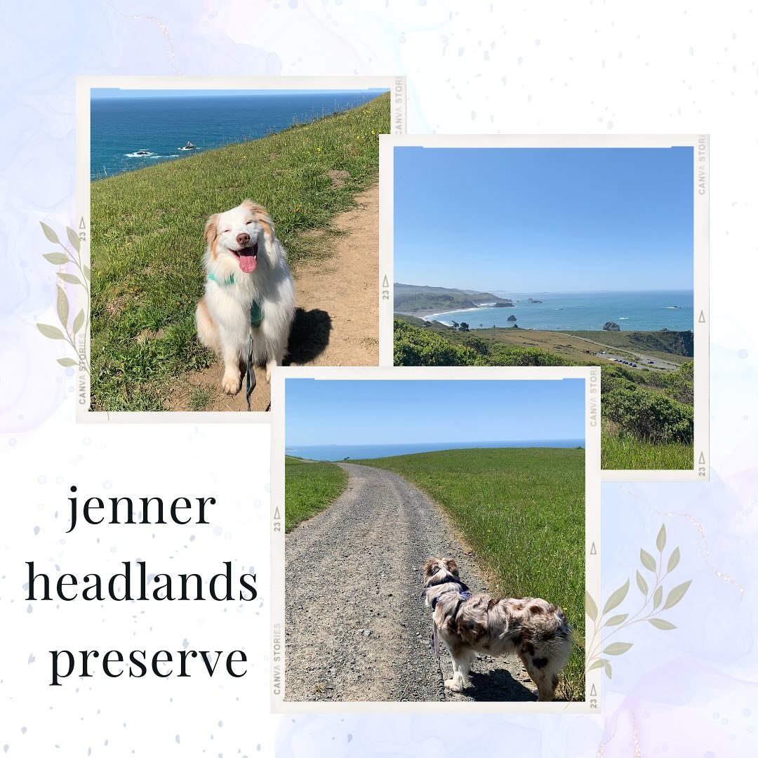 Beautiful day yesterday at the Jenner Headlands Preserve with Sterling and Sabine 🥾 We hiked the Sea to Sky trail all the way up to Pole Mountain. Our longest hike to date. I can&rsquo;t wait to go back and explore some of the other trails. The view