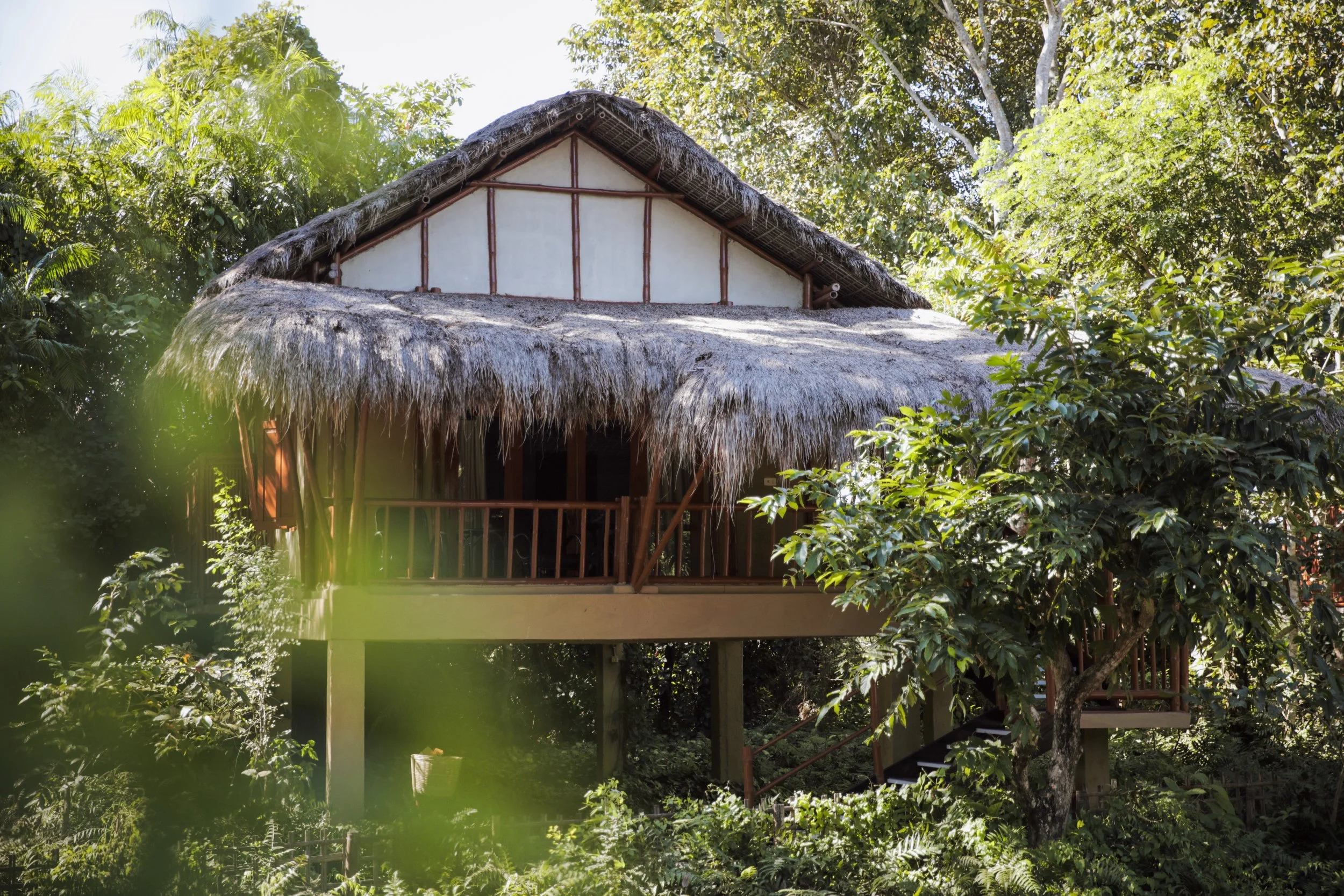 diphlu gallery 3.JPG