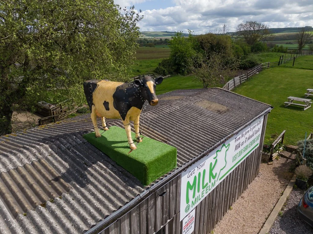 MileElmFarmShop-87.jpg