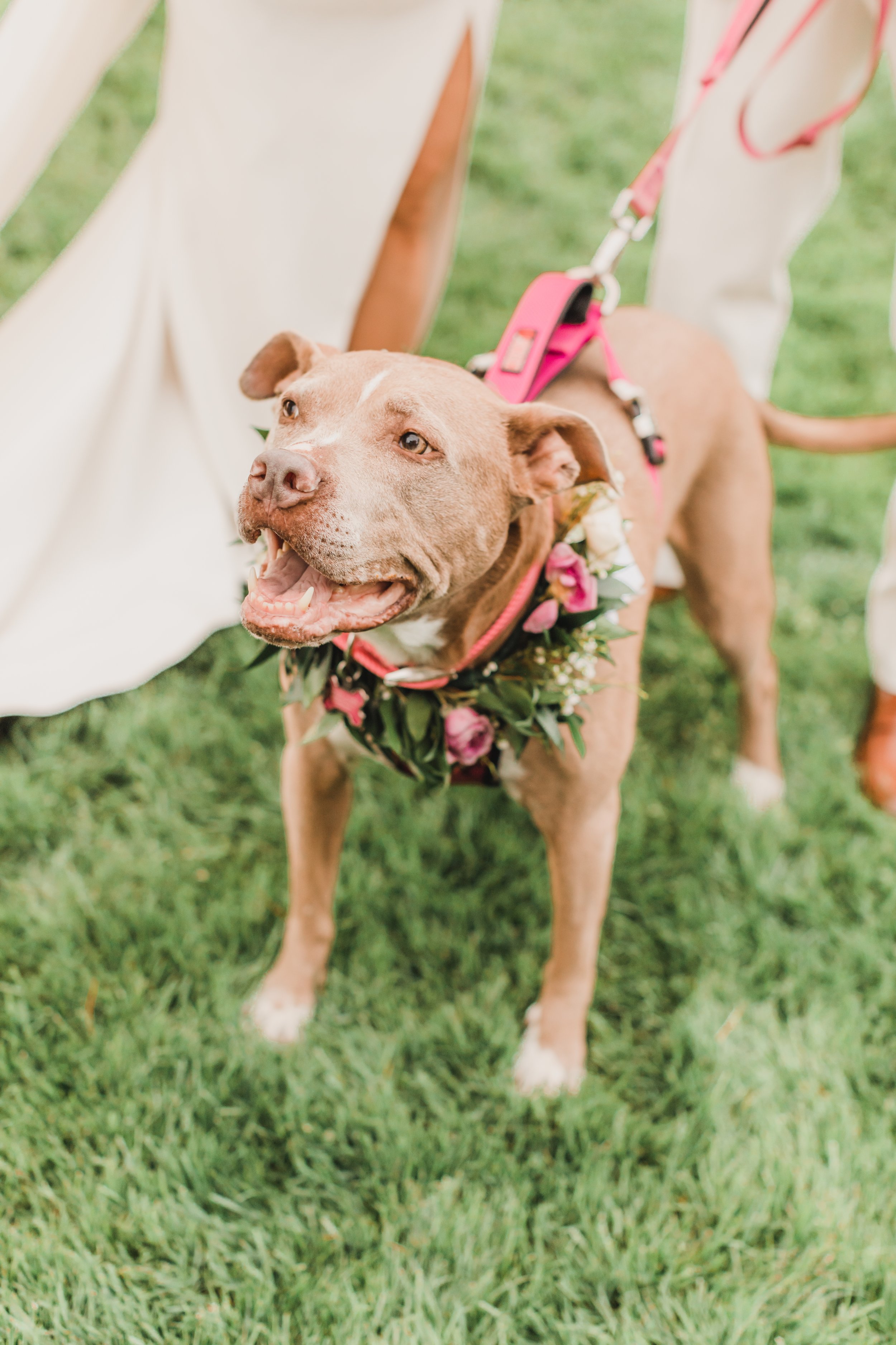 Lisa & Ryan Bridal Party-26-2.jpg