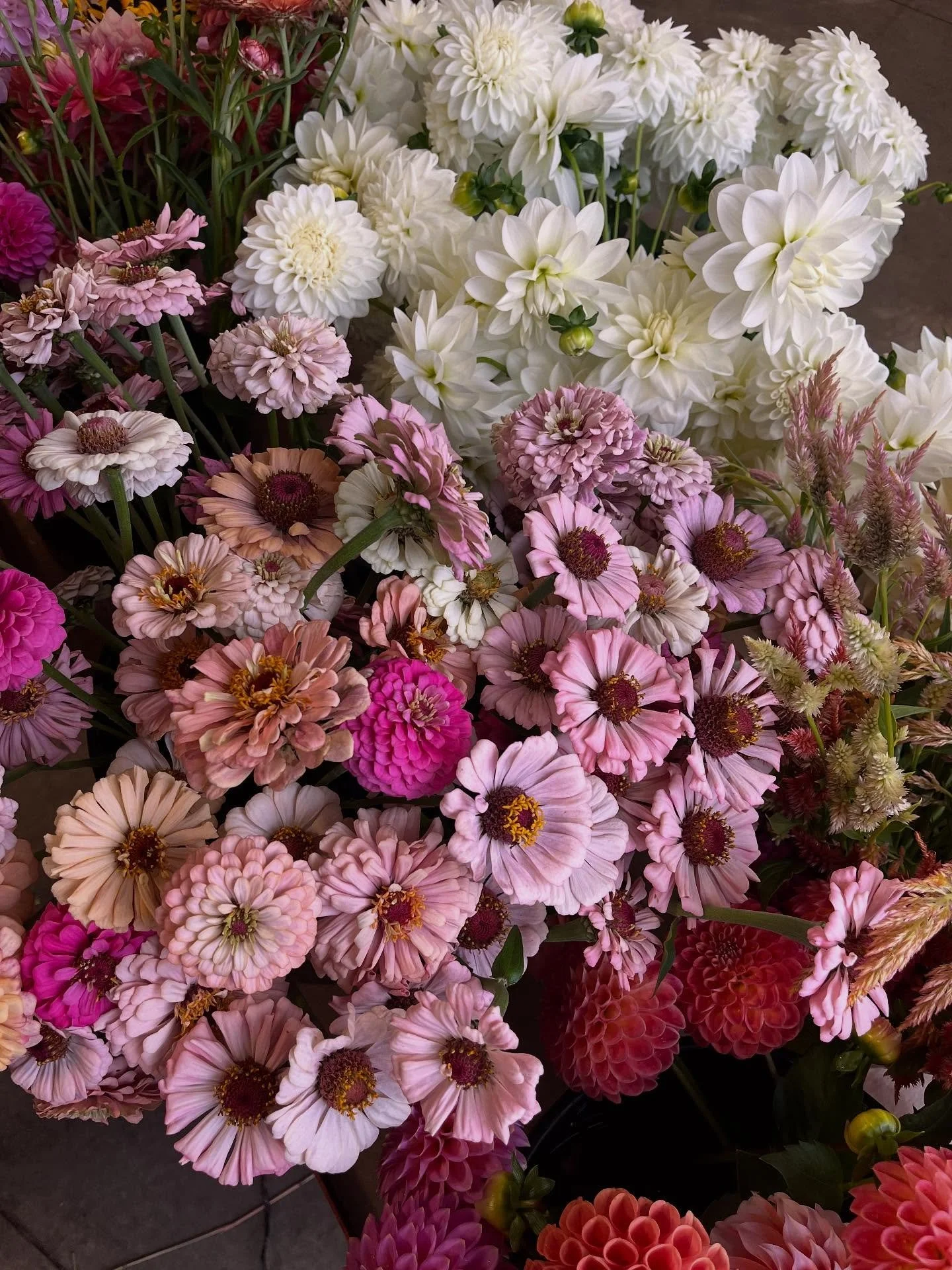 Another year is coming to a close. Frost is on the horizon, the farmers and florists are preparing for their winter nap. 🦋 I laughed a lot and cried a lot in the studio this year. I watched my sister become a firefighter, watched the baby take his f