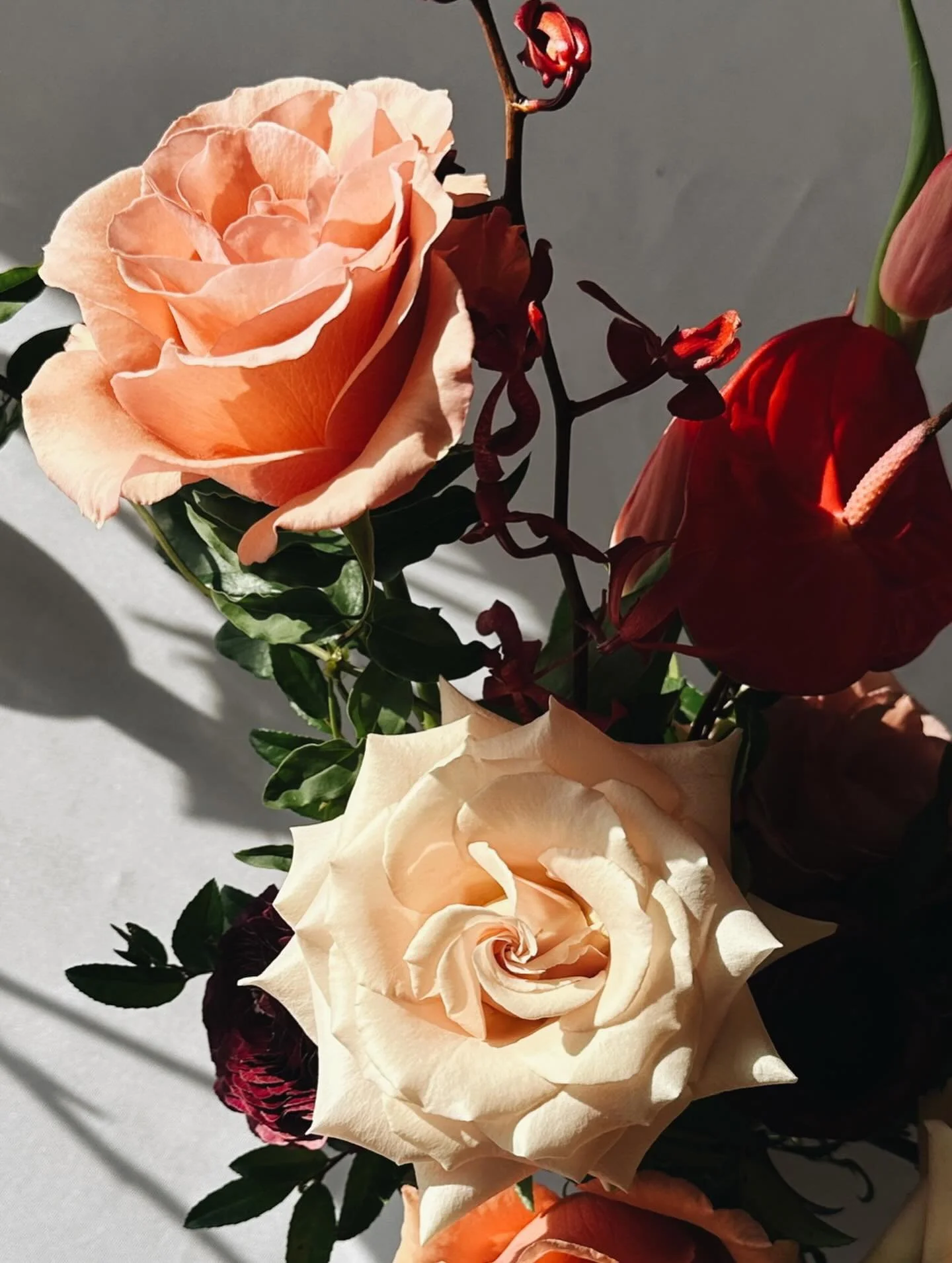 Valentine&rsquo;s Day preorders are live 🌹 Shop online now