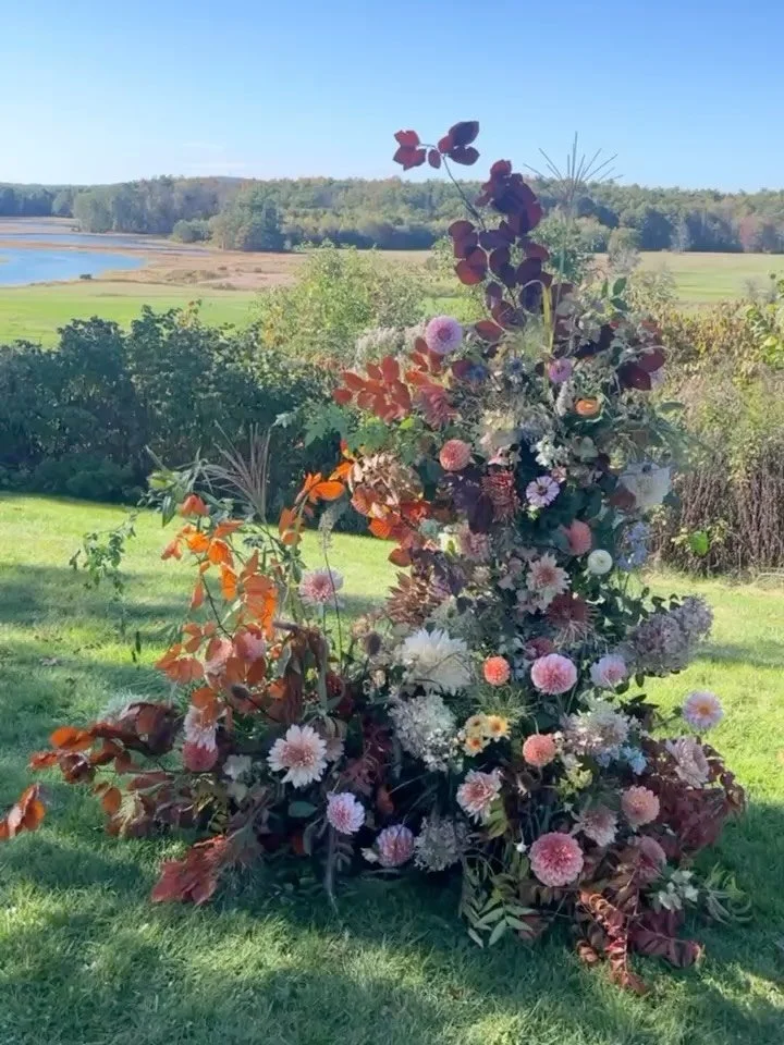 just a few iPhone snaps from the archive 💌