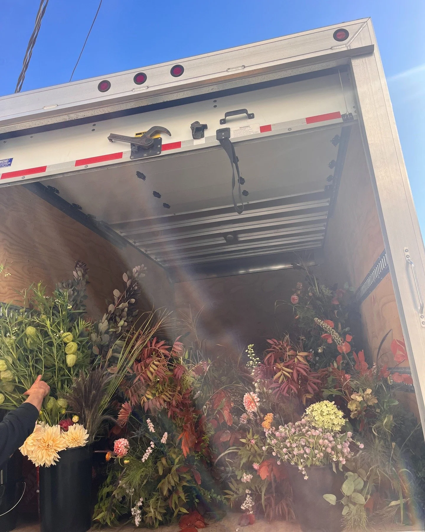 Almost that time 🦋