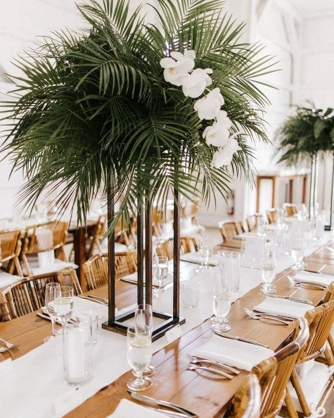 Revisiting some old favorites 🌴 Captured by @jamiemercuriophoto  at @thegreenerynh