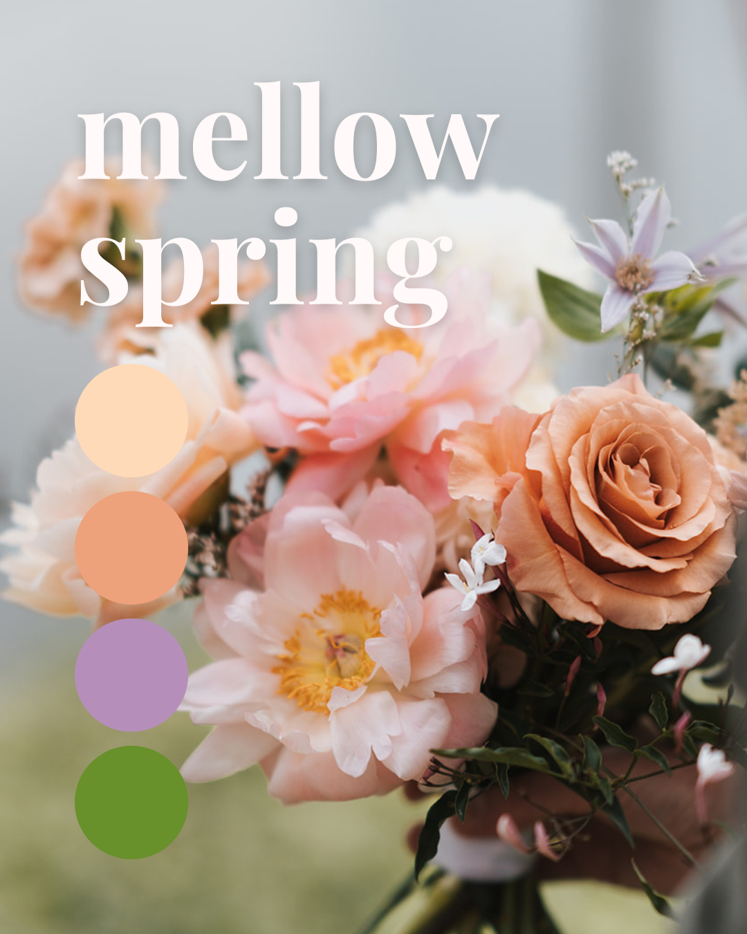 Mellow Spring.png
