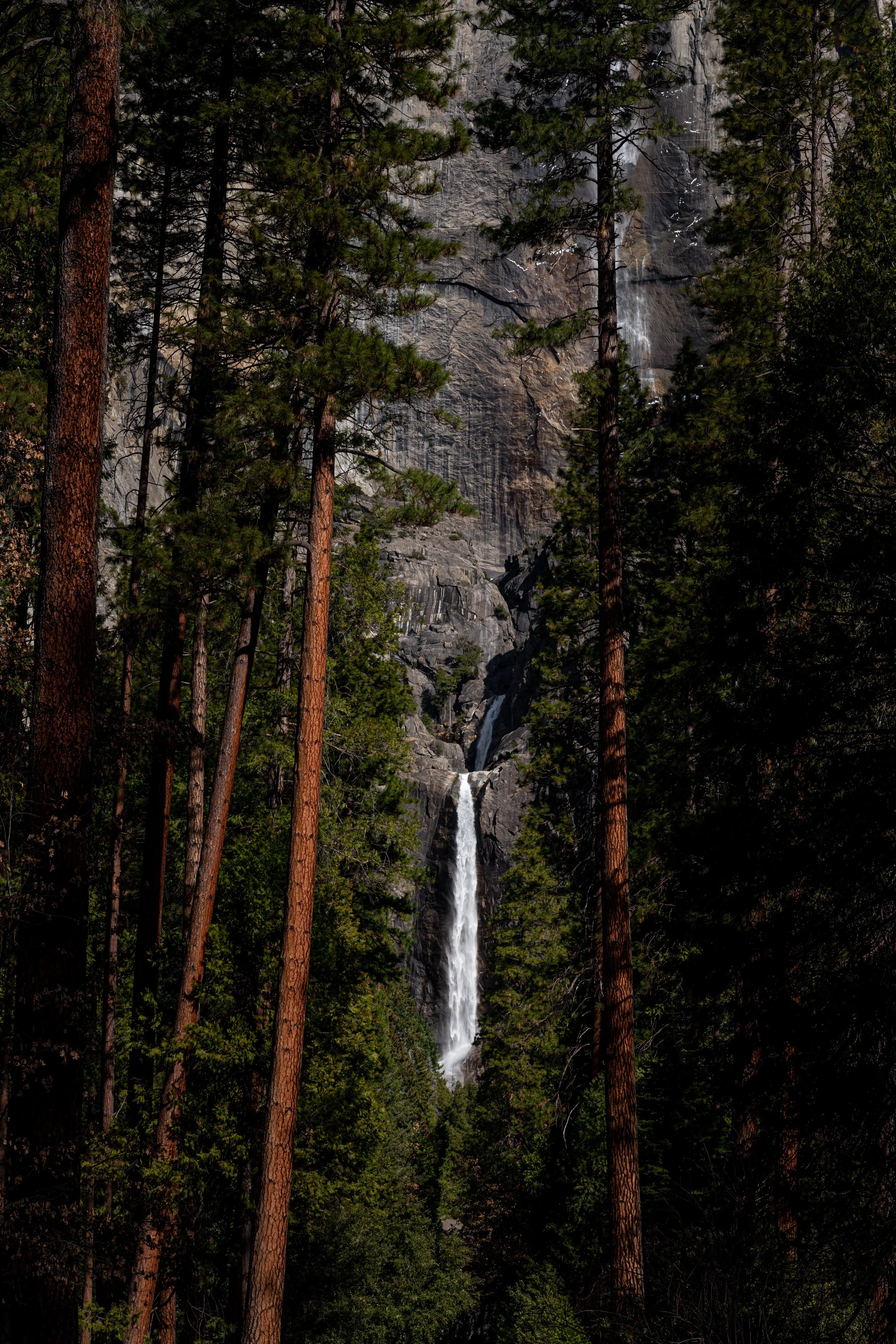 Yosemite(2020)_07065.jpg
