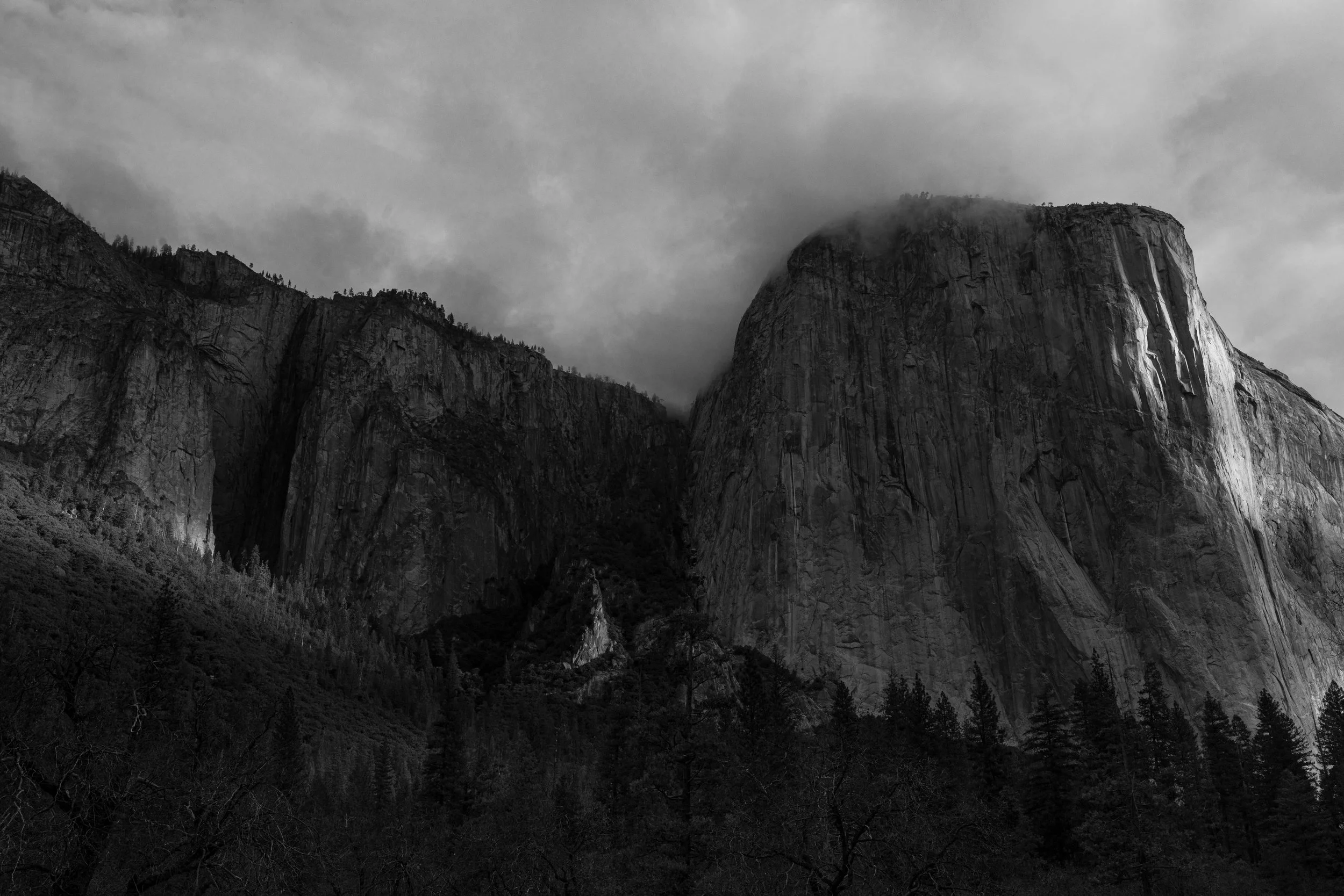 Yosemite(2020)_08749.jpg