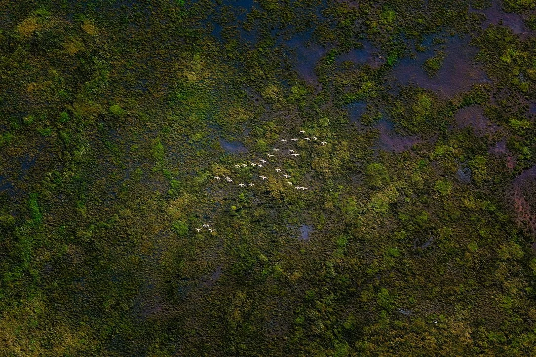 18C21665-DF03-41CB-BF08-6D7A44D55425_1_105_c.jpeg