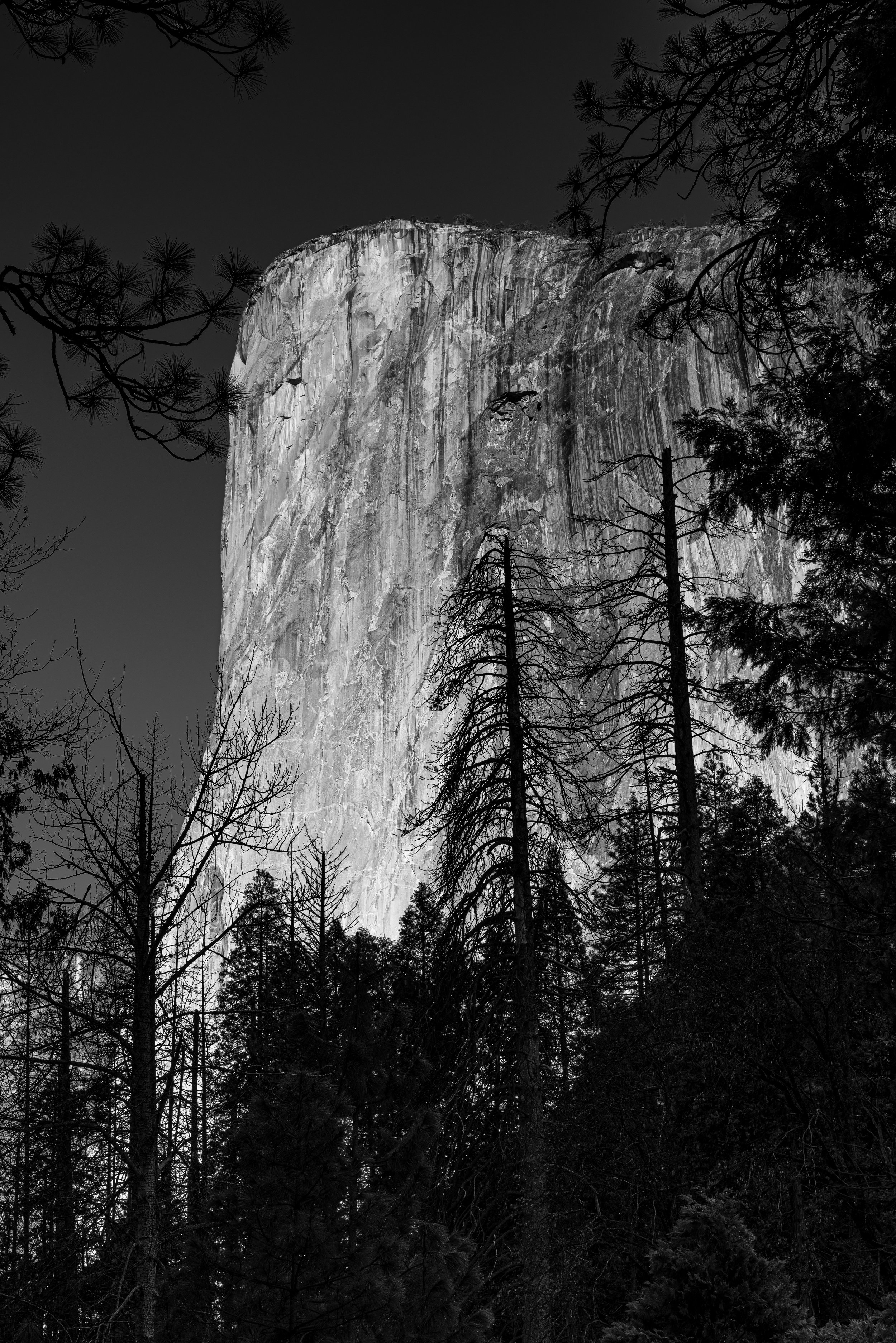 Yosemite(2020)_09196.jpg
