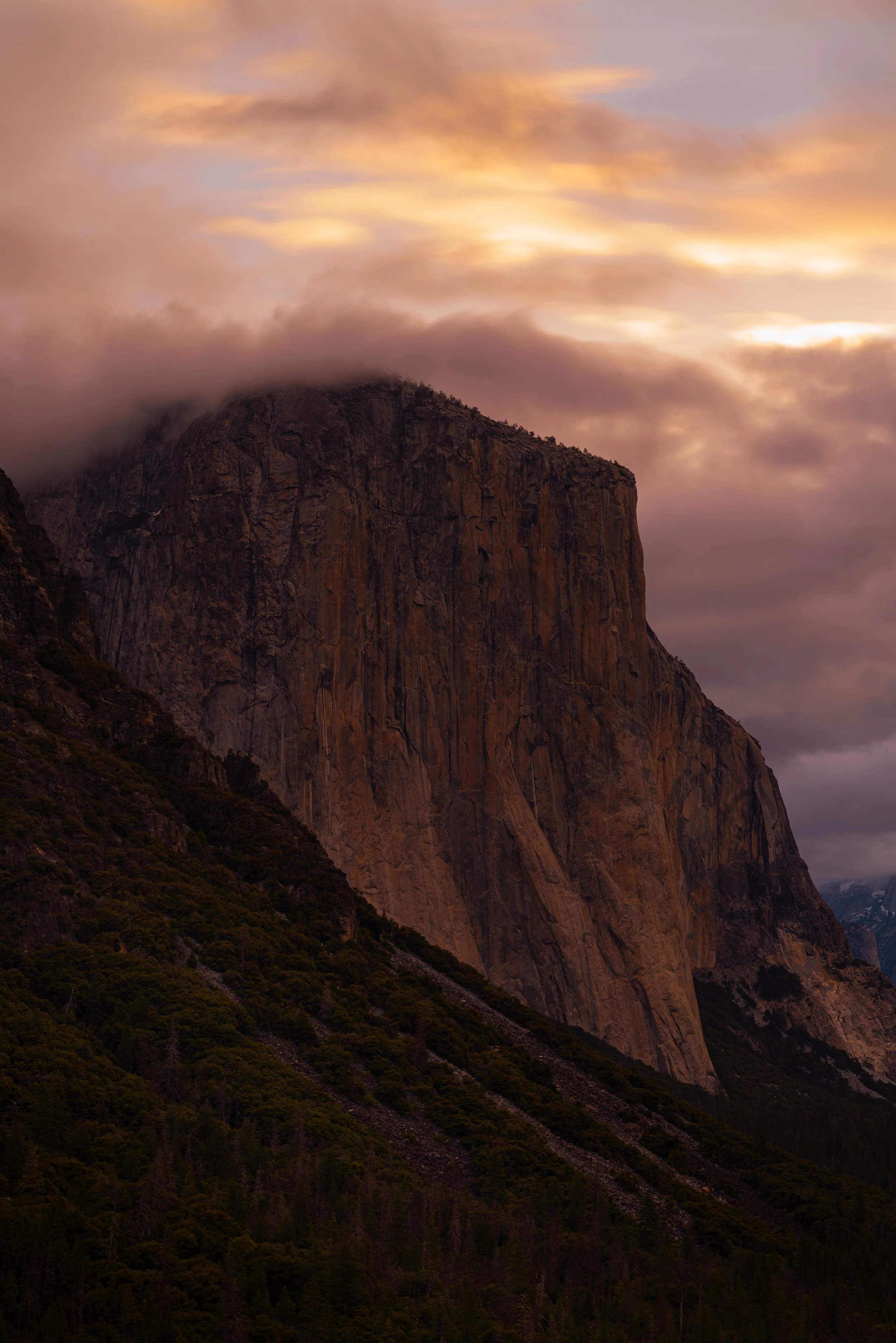 Yosemite(2020)_08601.jpg
