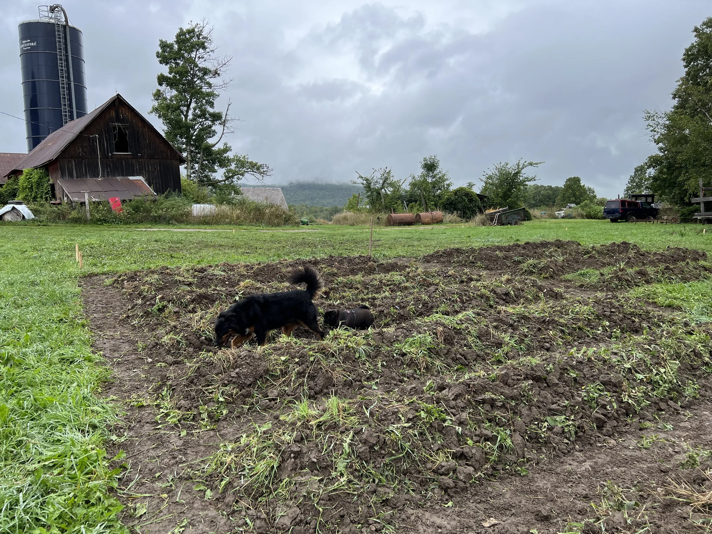 Agriculture Tax Deductions