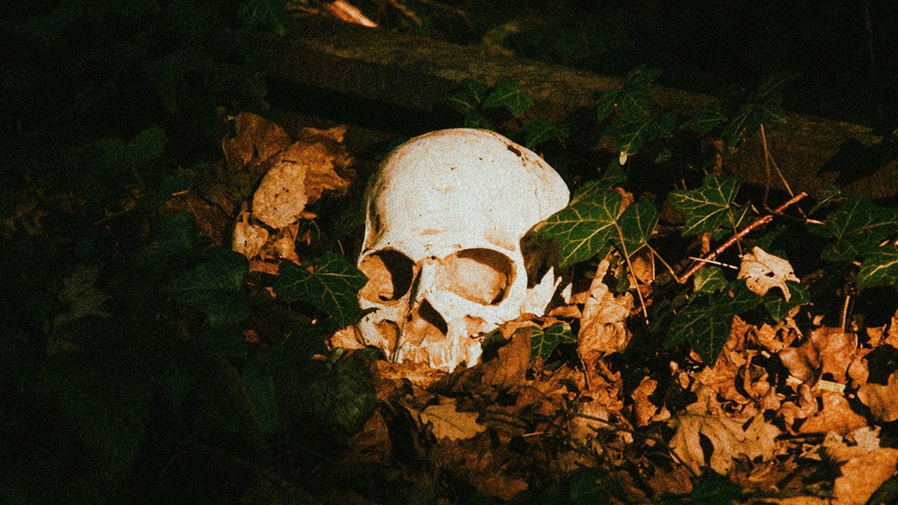 the end of the world