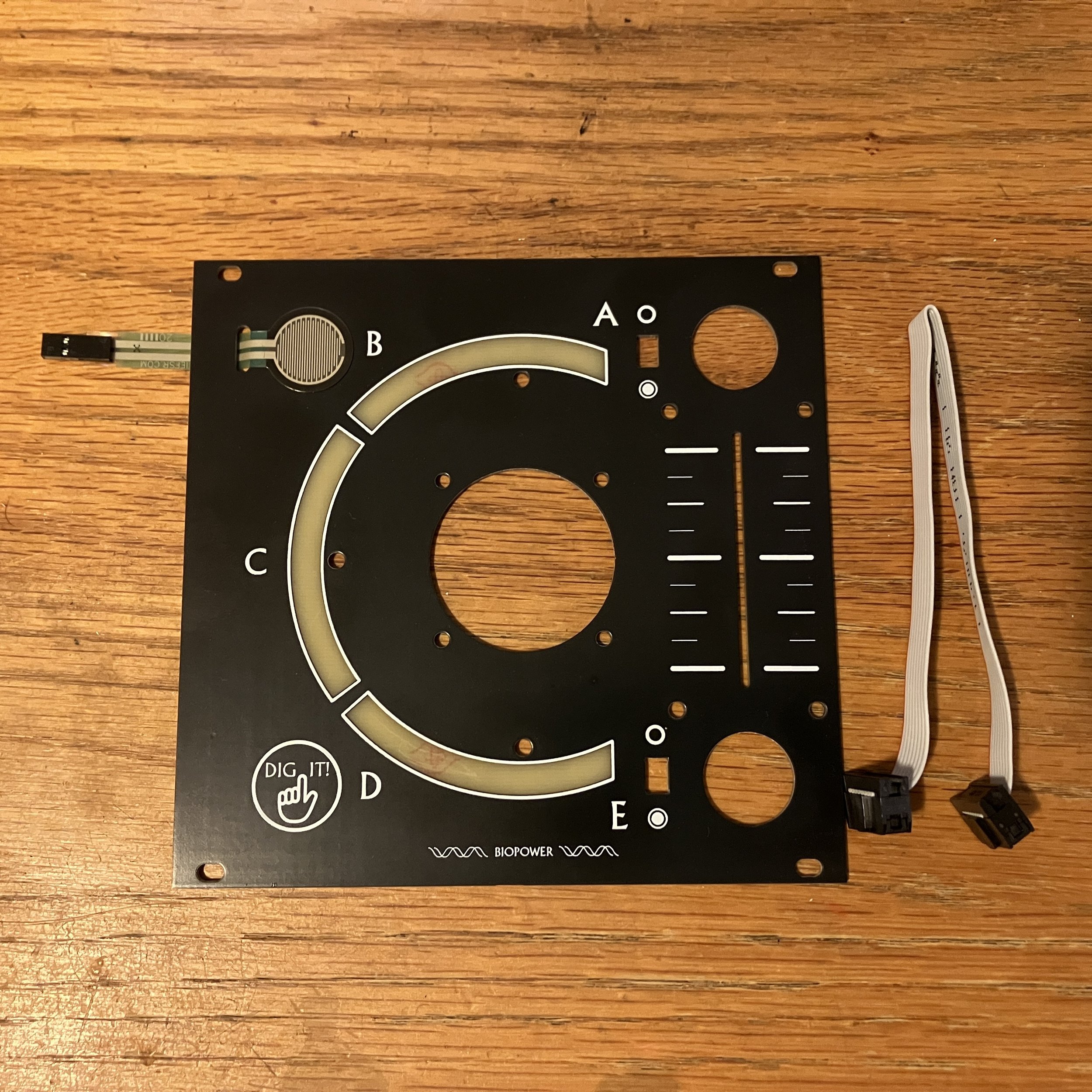 Dig It! Rack Front Panel and Cable