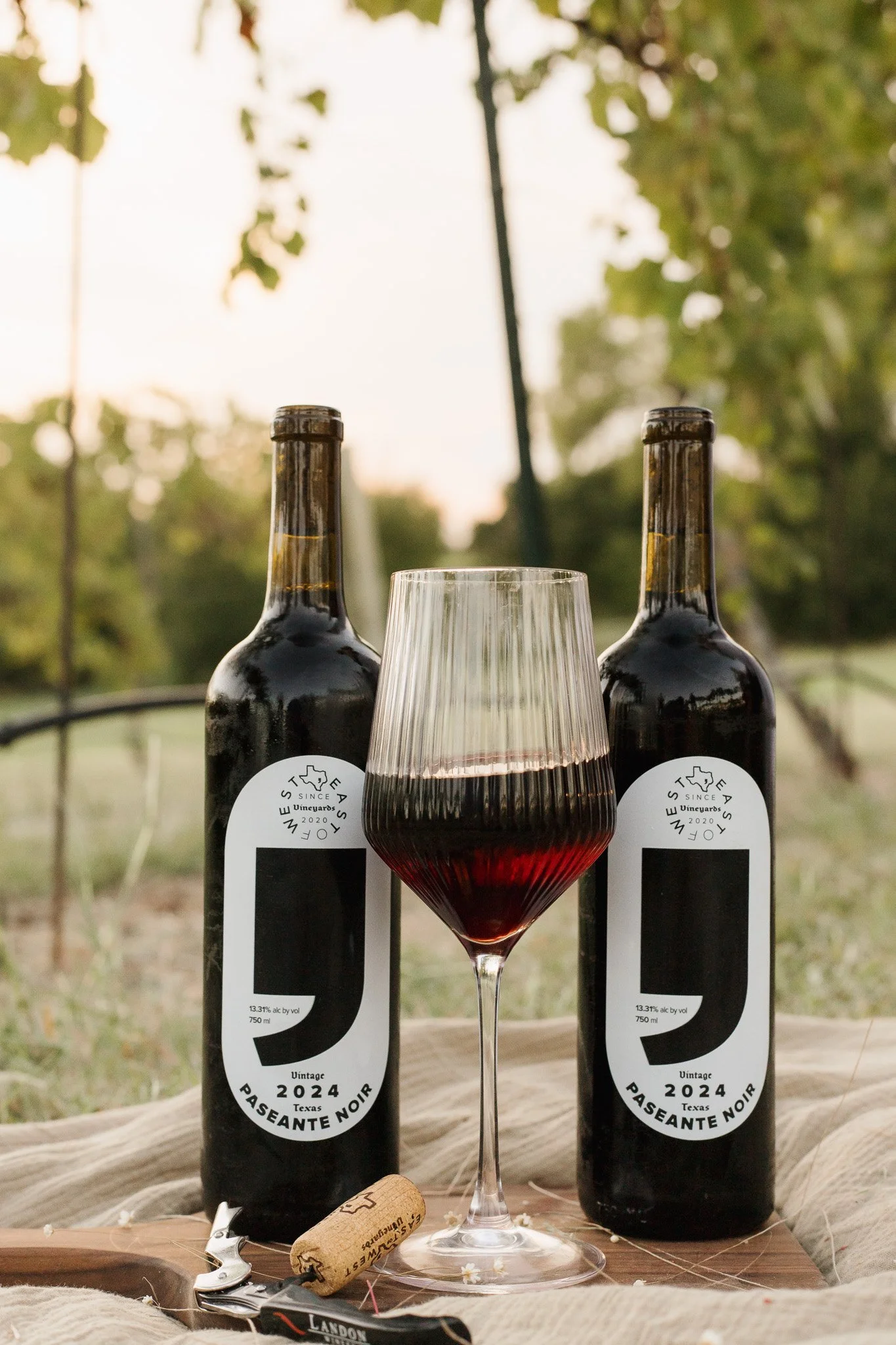 2024 Paseante Noir- Full Case (12)