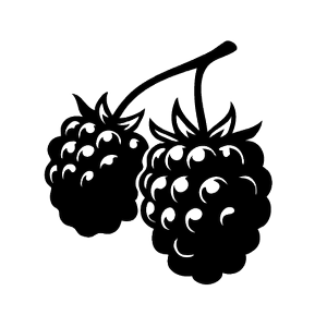 Blackberry
