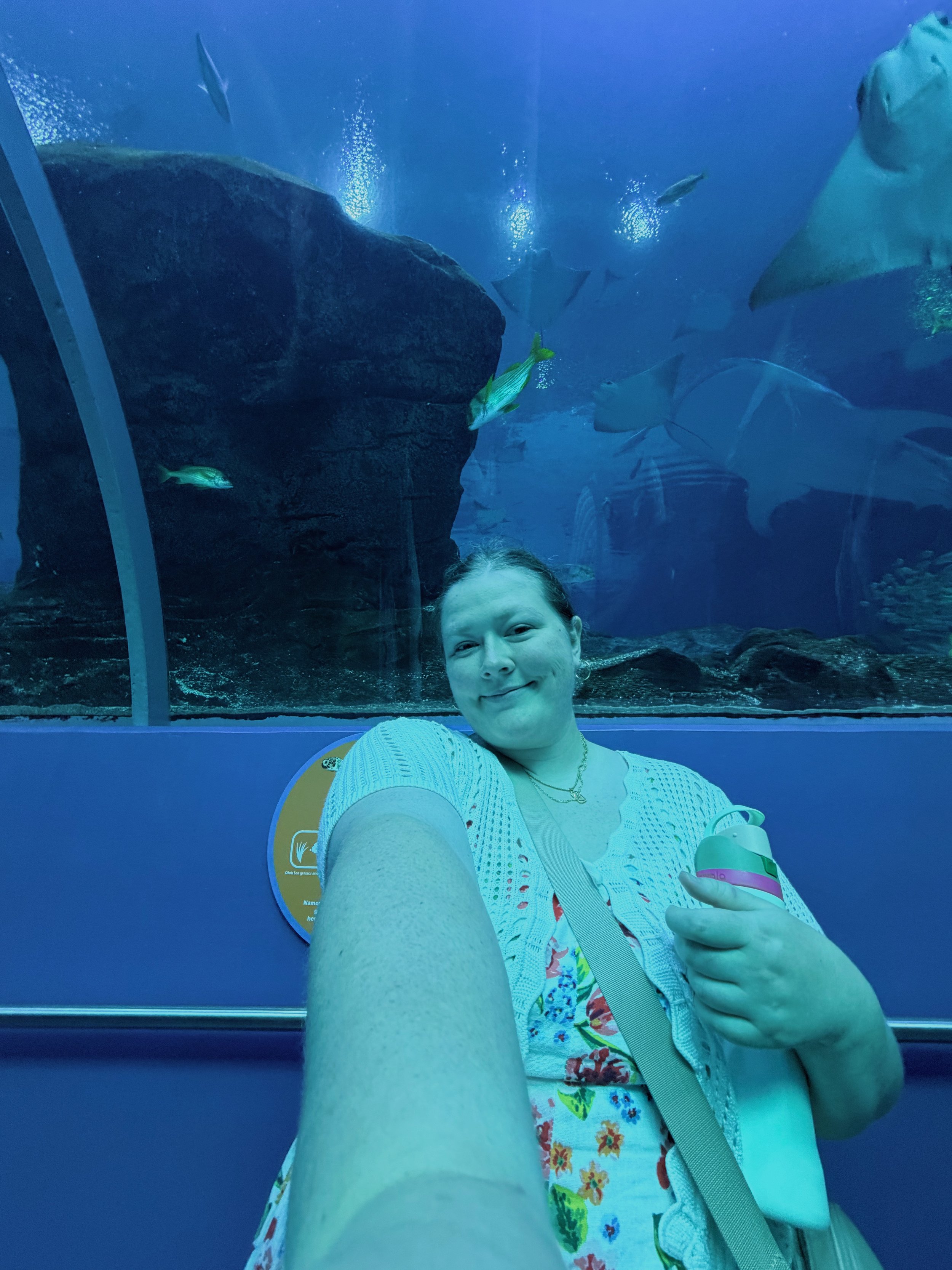 Georgia Aquarium