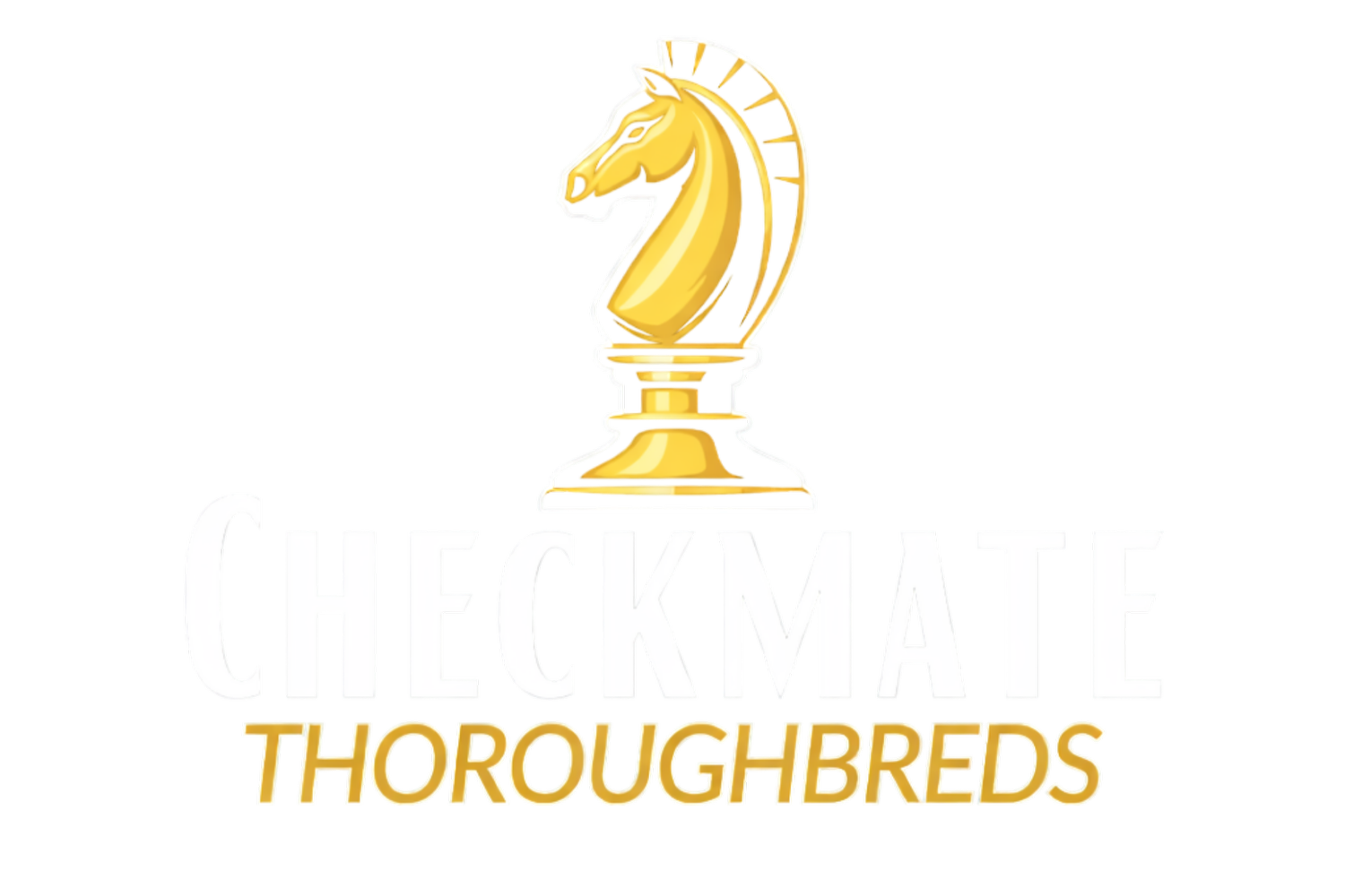 Checkmate Thoroughbreds