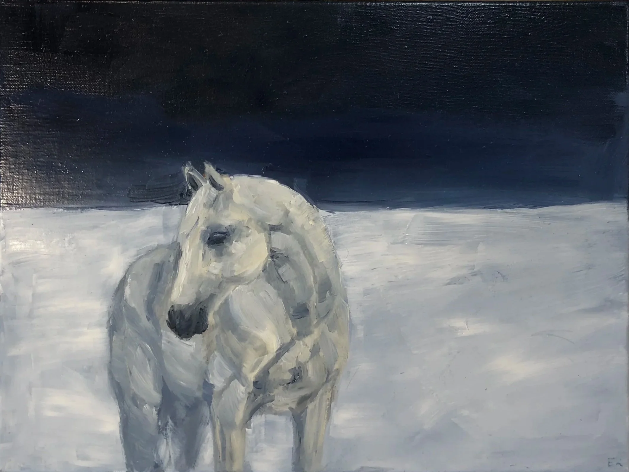 Oil on Canvas