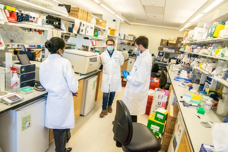 Zark Lab Research — zlab