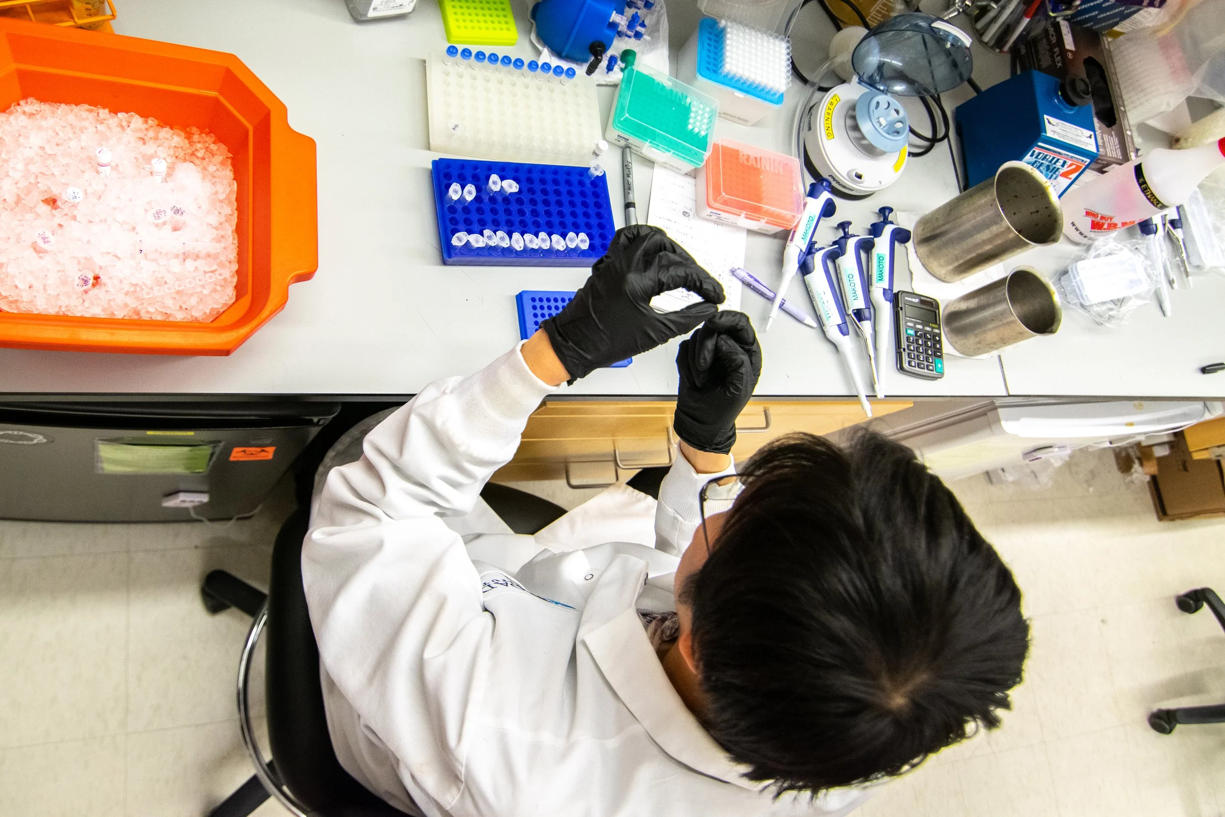 Zark Lab Research — zlab