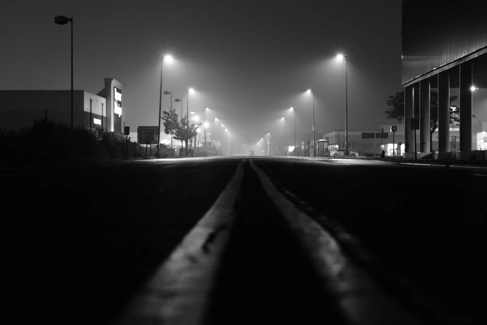 Black & White by Alonzo Torres
