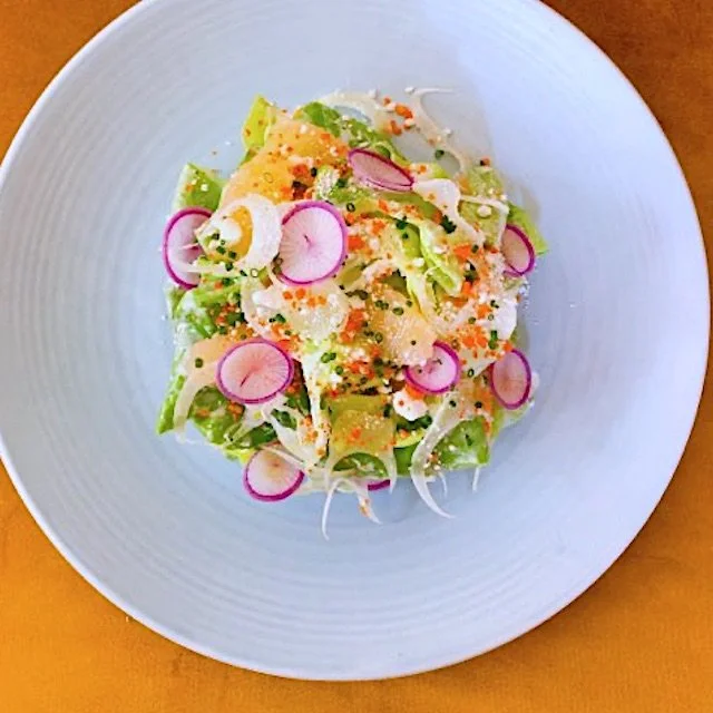 Salad of little gems, fennel, radishes, crushed pine nuts and blood orange
