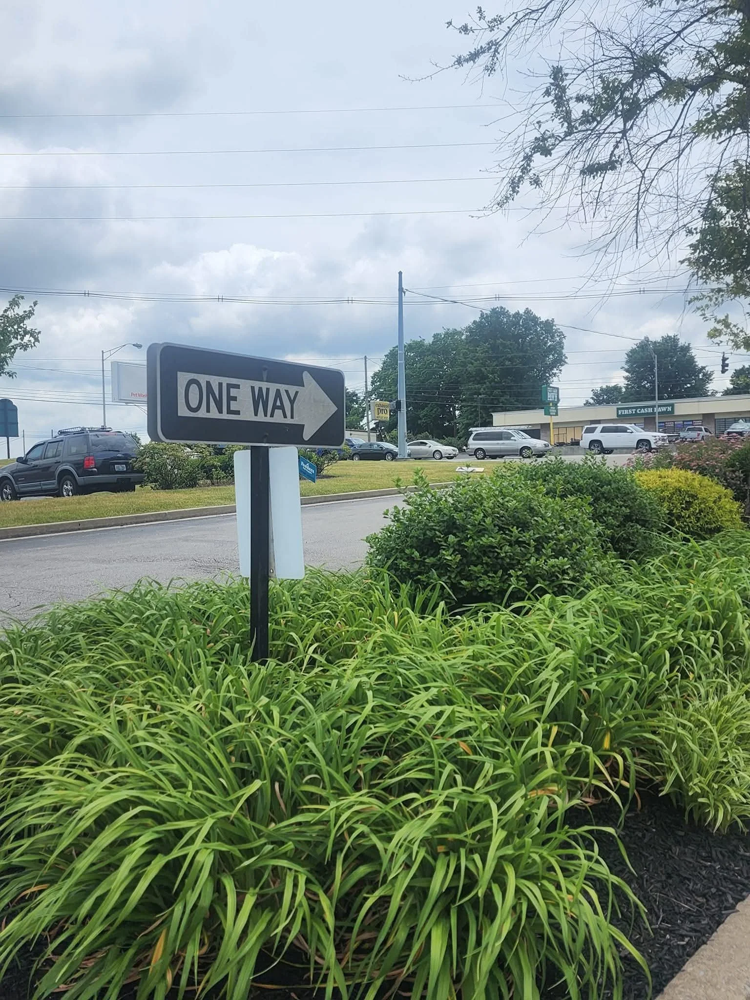 A one-way street sign pointing to the right, surrounded by green bushes and plants, with a street and parking lot in the background under cloudy skies.