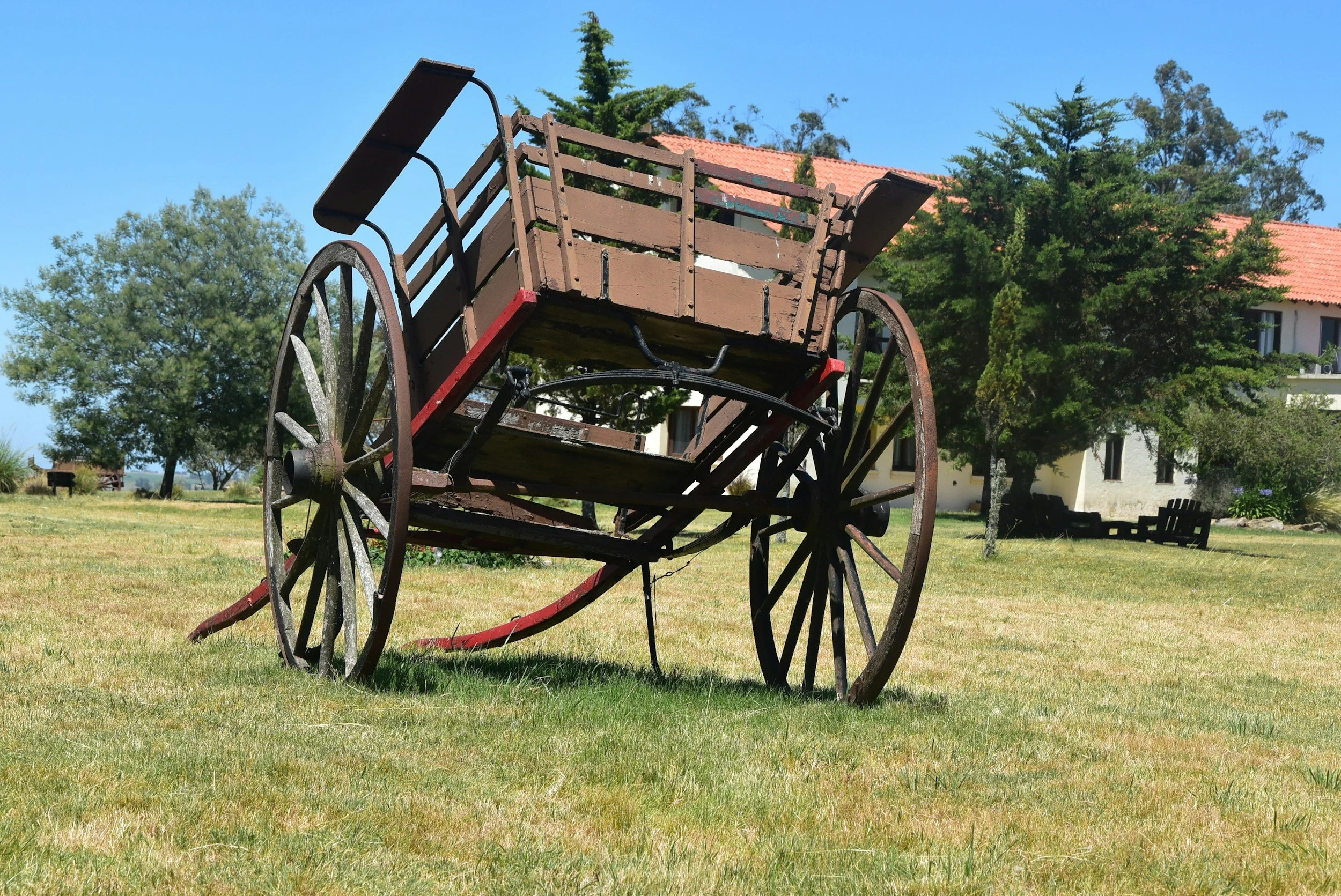 Putting the Cart Before the Horse: Why Building Your Website Before Your Logo is a Massive Mistake