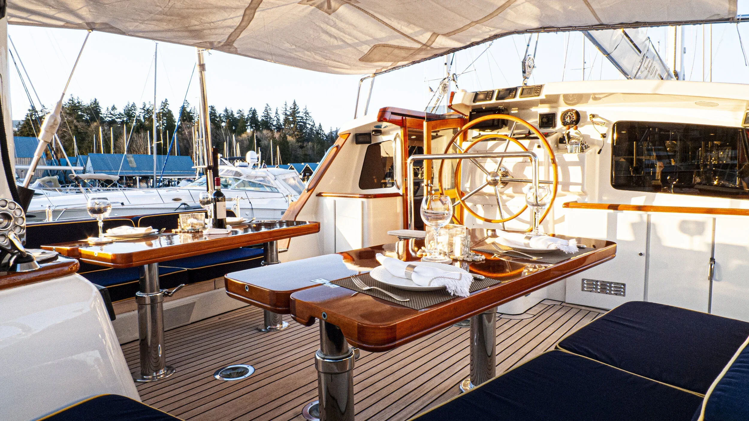 L1110171.jpg.webp