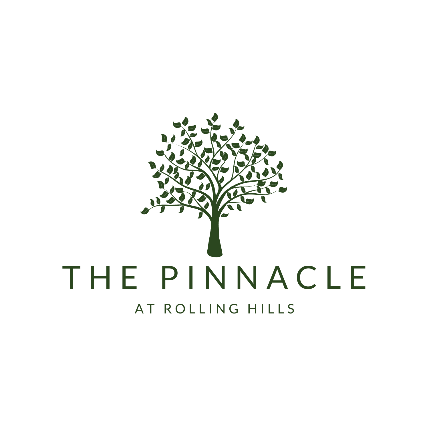 THE+PINNACLE+(1).png