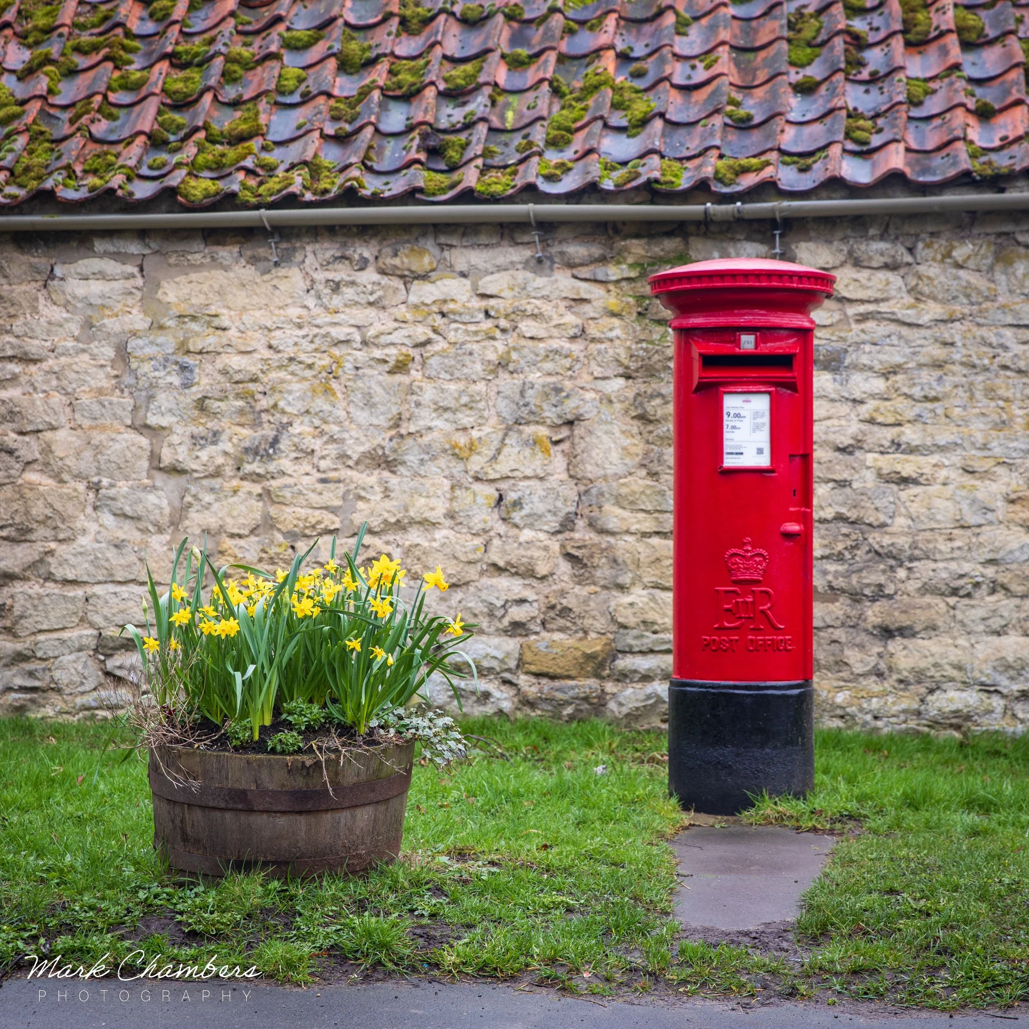 Yorkshire Spring Spring in Yorkshire — Mark Chambers Photography