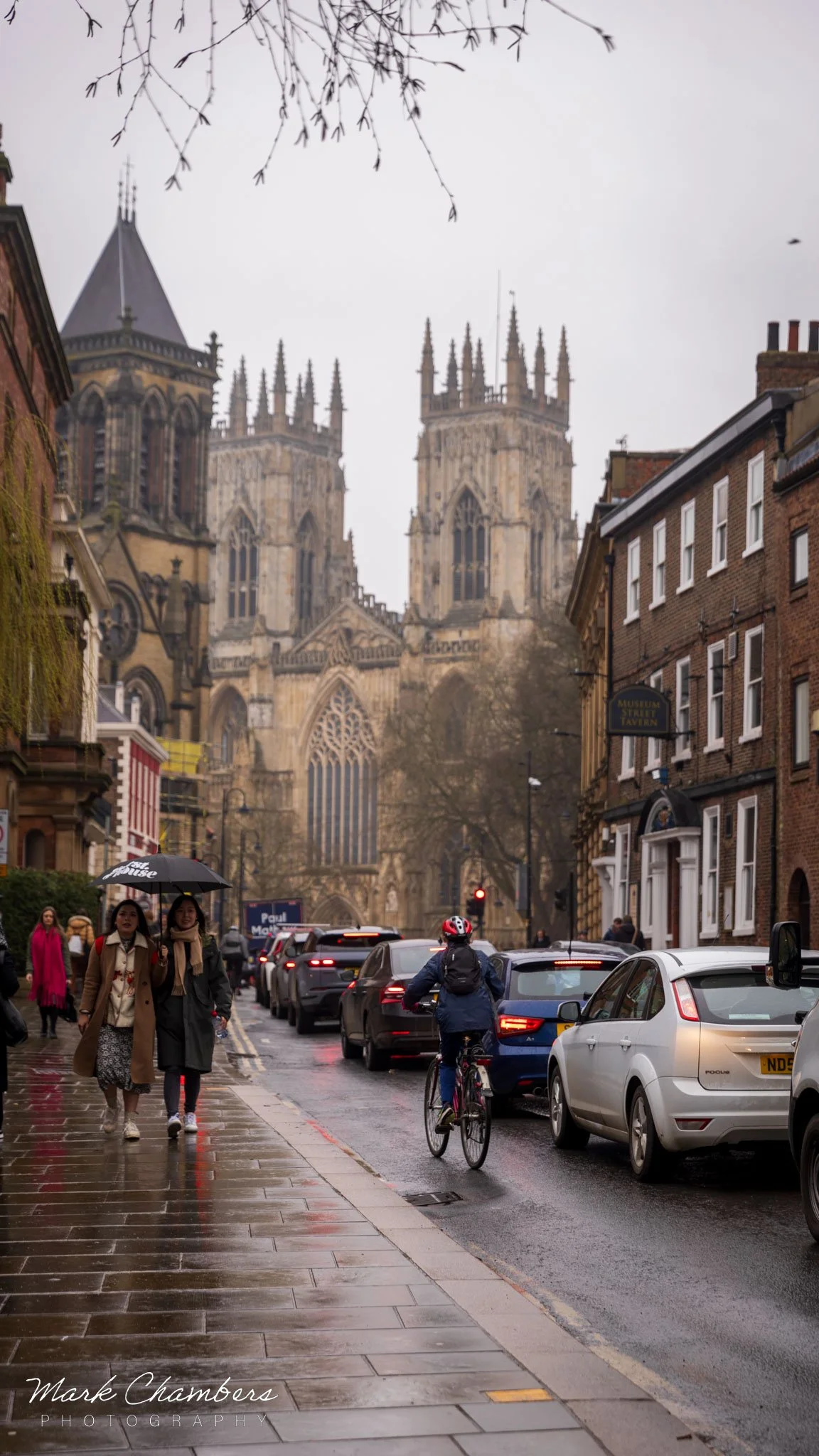 Spring in Yorkshire — Mark Chambers Photography