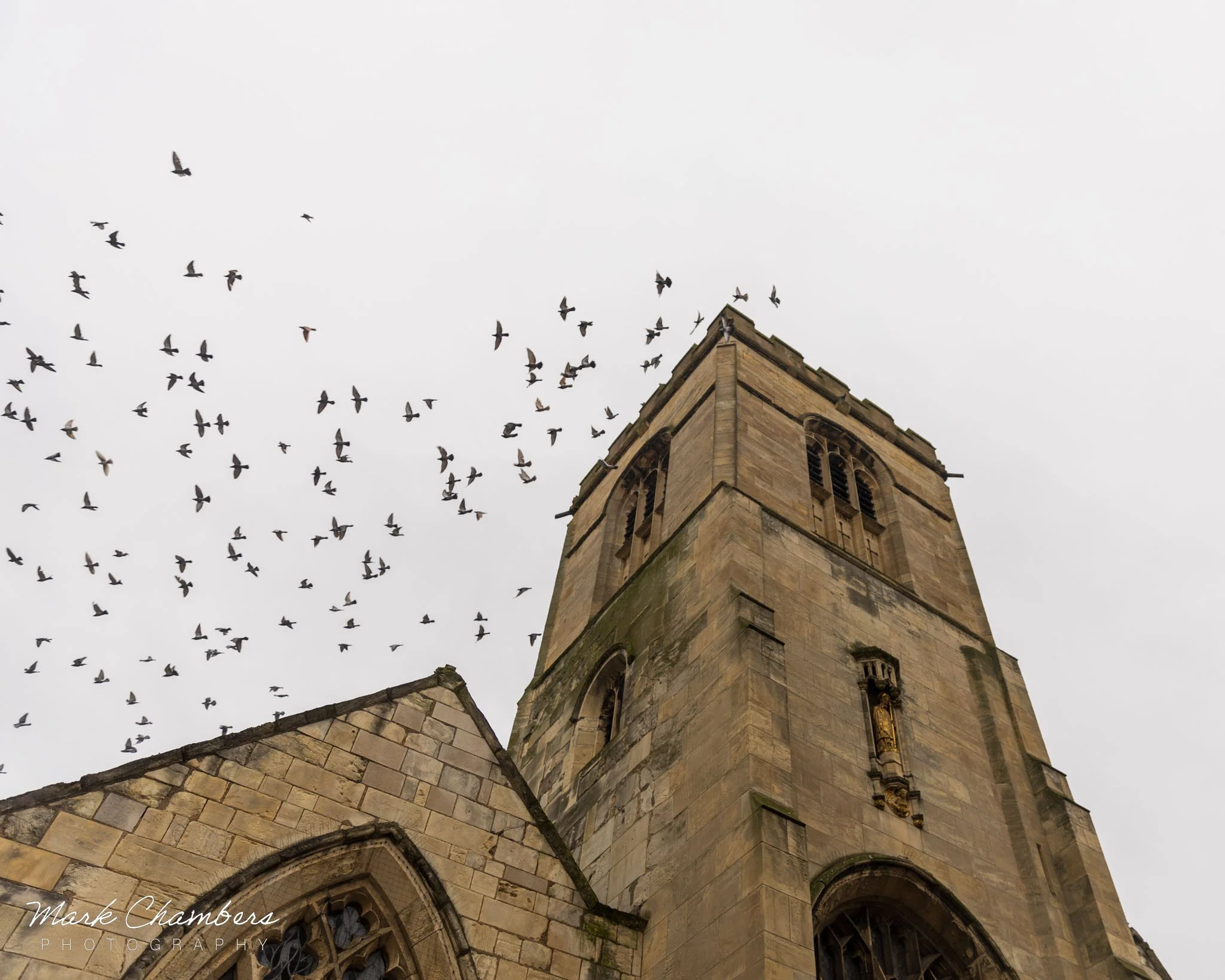 Spring in Yorkshire — Mark Chambers Photography