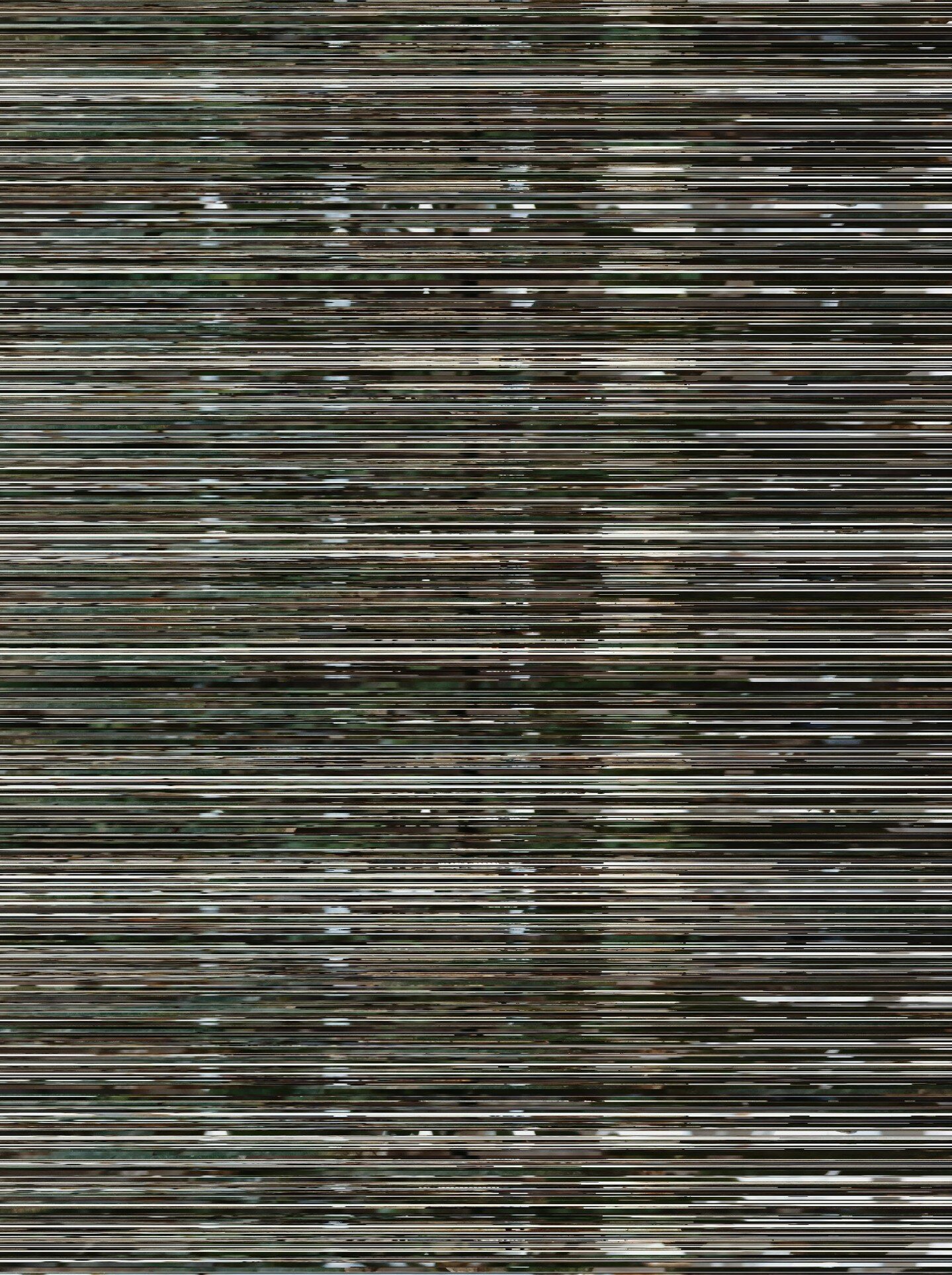 tmp2023-08-16 09-00-05.jpg
Manifesting as a series of digital collages, Mors randomly deconstructs original Scriptum Nativitas photographs to create something anew.
The series is generated and published in real-time using a pre-configured automate