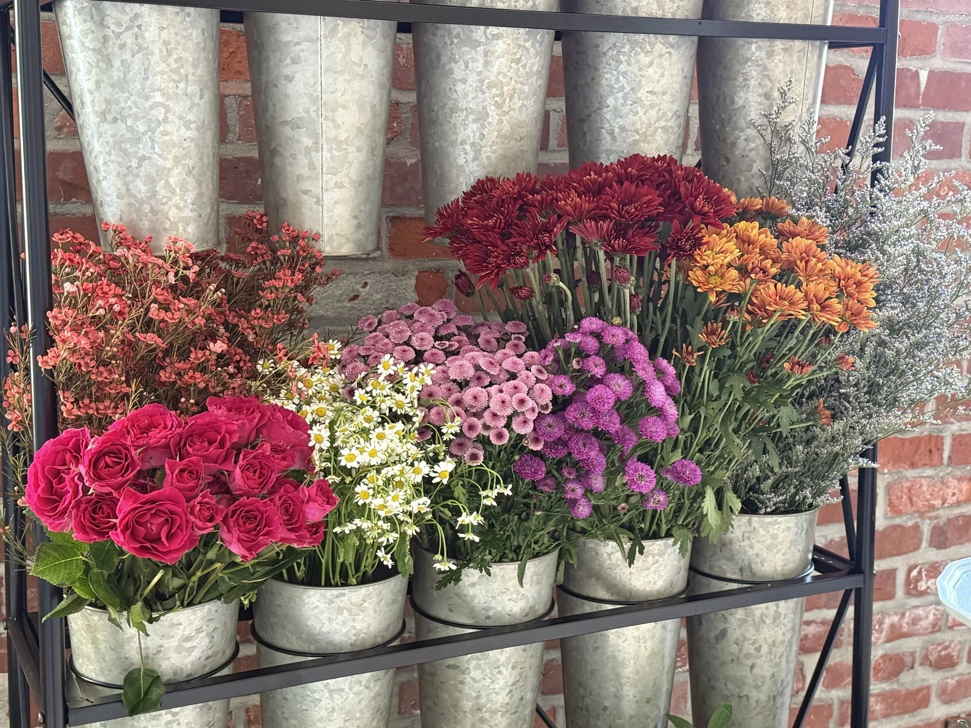 Sip, Snip & Bloom - Wildflower Bar